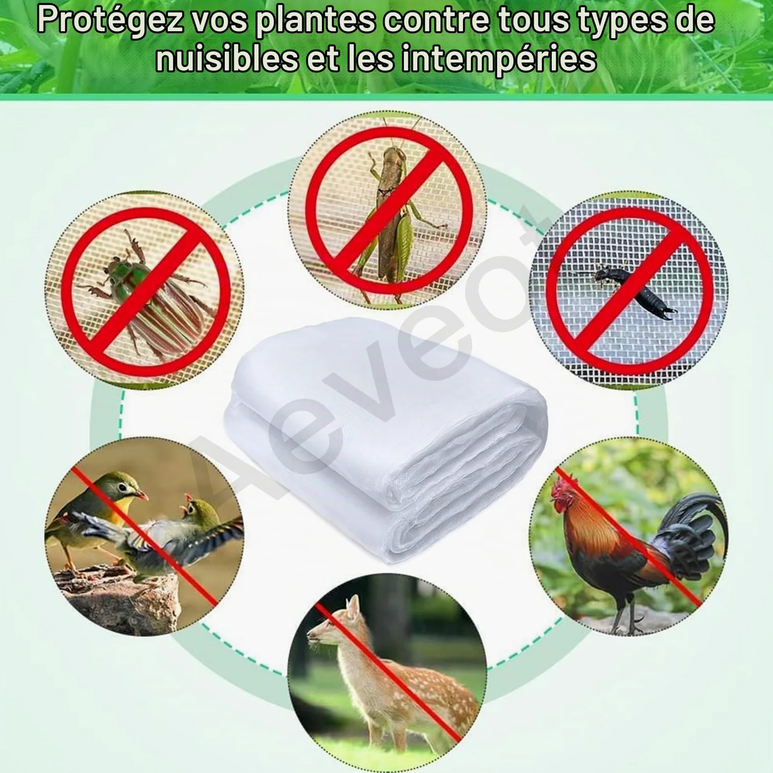 Filet Anti Grele Filet Anti Insecte Potager, Maille Fine Filet Anti Moustique, Filets pour Jardin pour la Protection des Plantes Légumes Fruits, Filet Anti-Insectes pour Fenêtre(5x10m)