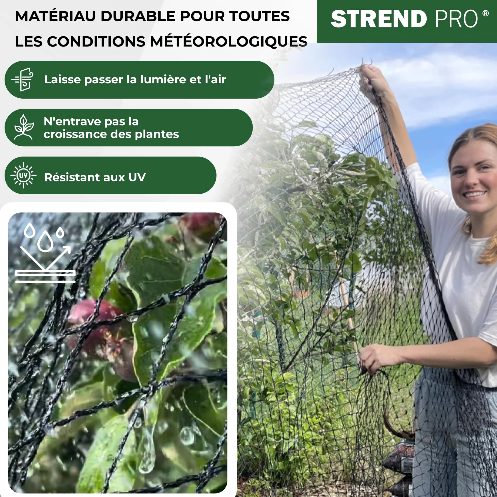 STREND PRO Filet Anti-Oiseaux 12mx25m 25x25mm À Mailles Fines | Protection Étang | Protection Fruits Et Potager | Filet De Jardin | Protection des Plantes | Protection Vigne Et Baies | PE
