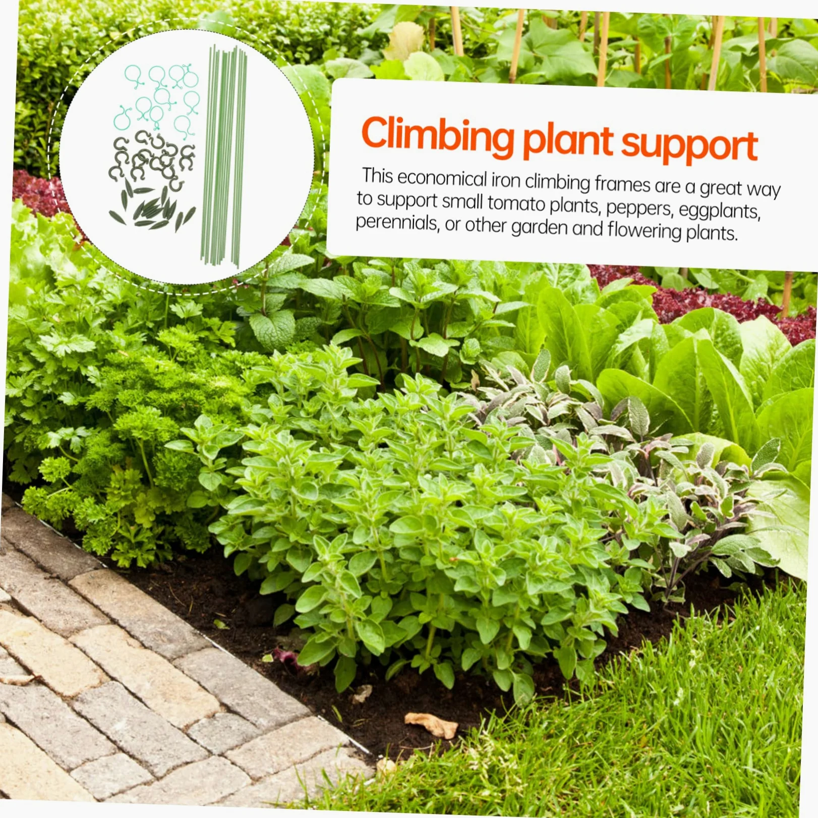 Kisangel 3ensembles Support De Plantes Réutilisable Lot de Tuteurs Et Attaches pour Plantes Grimpantes pour Aménagement De Jardins Et Résistant Aux Intempéries Et Vent
