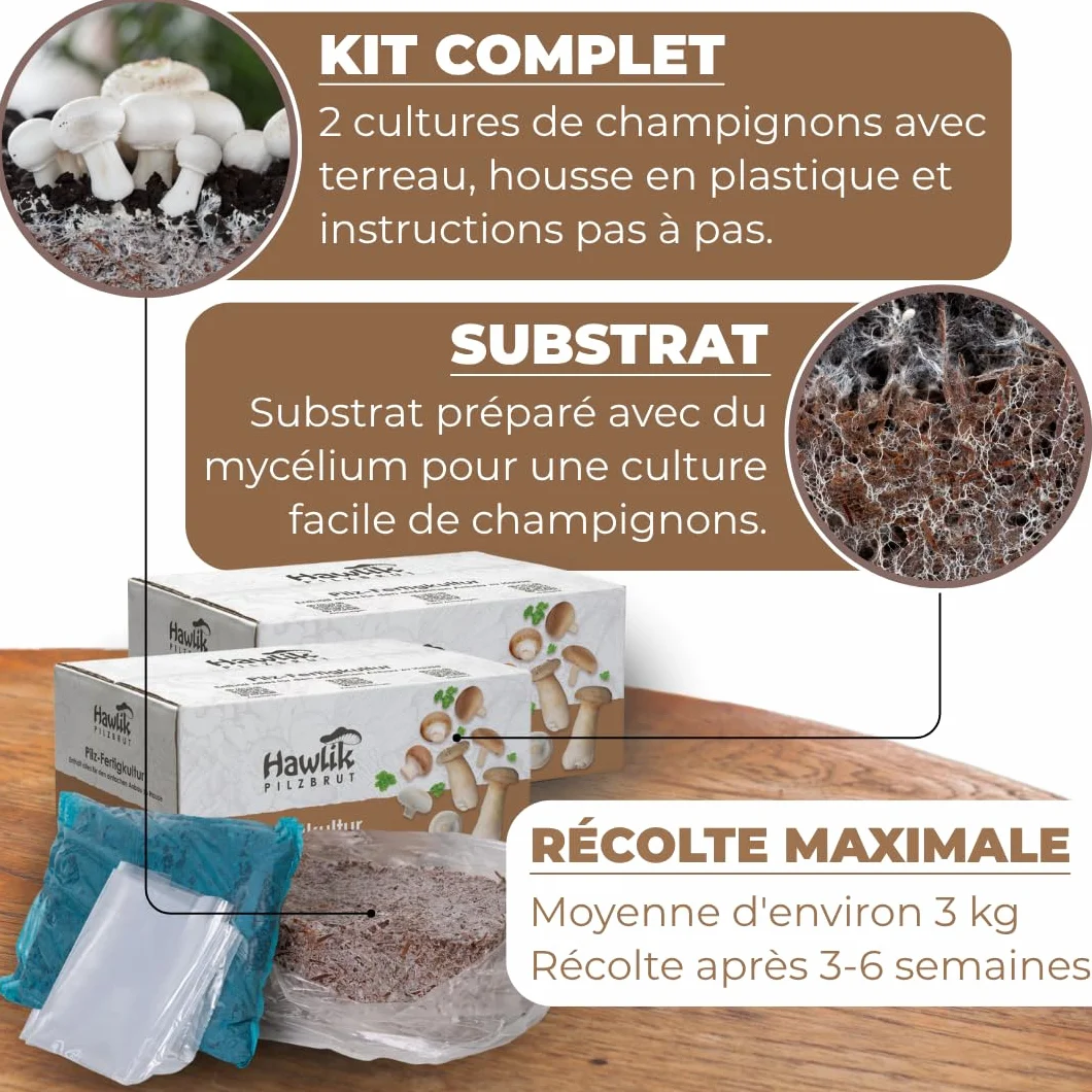 Hawlik Kit Champignons de Paris - Lot de 2 Cultures - Blancs et Bruns