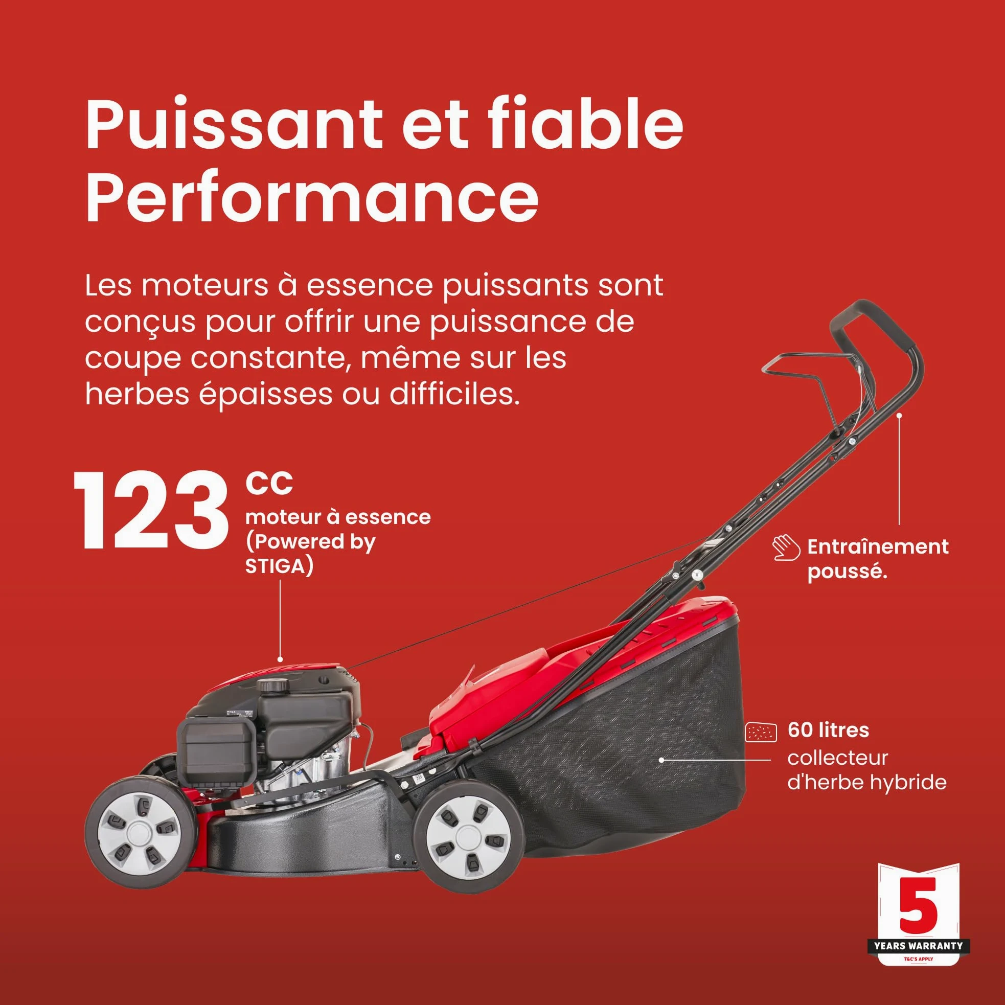 Mountfield Tondeuse HP42, 41 cm – Essence 123 cm³, Bac 60 l – Poignées Pliables, Réglage 6 Positions – Pelouses Jusqu'À 300 m²