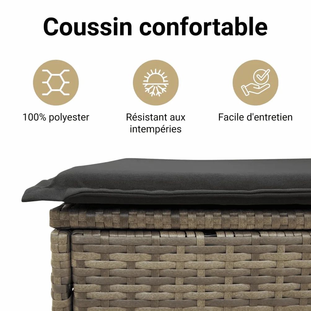 Canapé de Jardin 4 Places Résine Tressée Gris avec Coussins