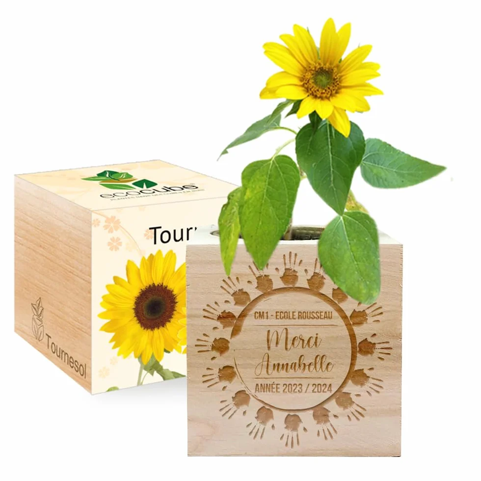 EcoCube Petites Mains remercier maître maîtresse fin d'année Cadeau éco-responsable Tournesol