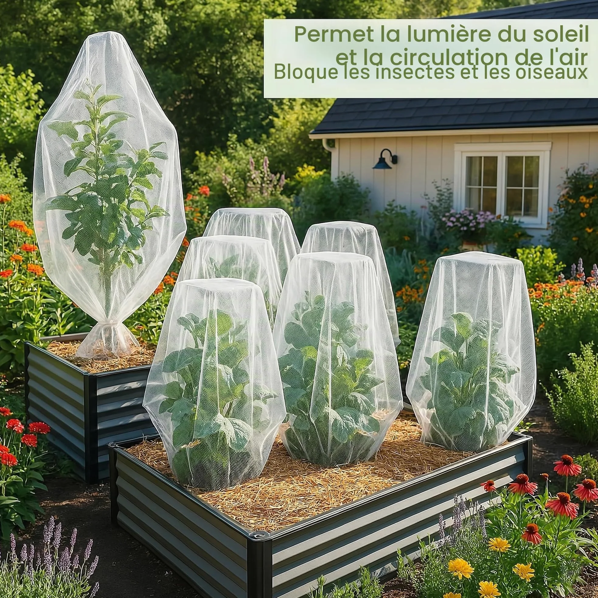 Filet pour Arbre Fruitier 140x180 CM, Paquet de 4 - Protection Potager | Filet Anti-Oiseaux Blanc, Maille Fine, Fraise, Légumes & Insectes
