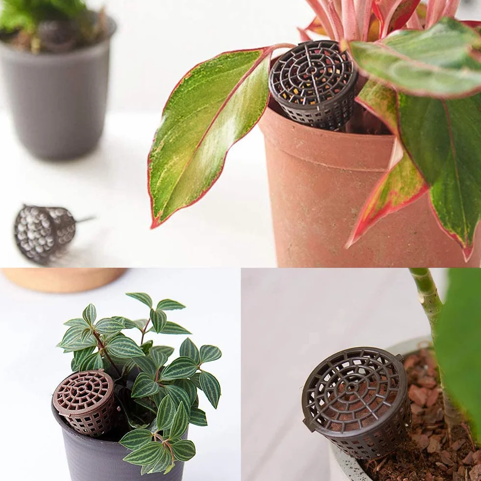 Bonsaï Outil avec Couvercle Boîte Engrais Organique 30 pcs Plastique Epandeur Rangement Plantes