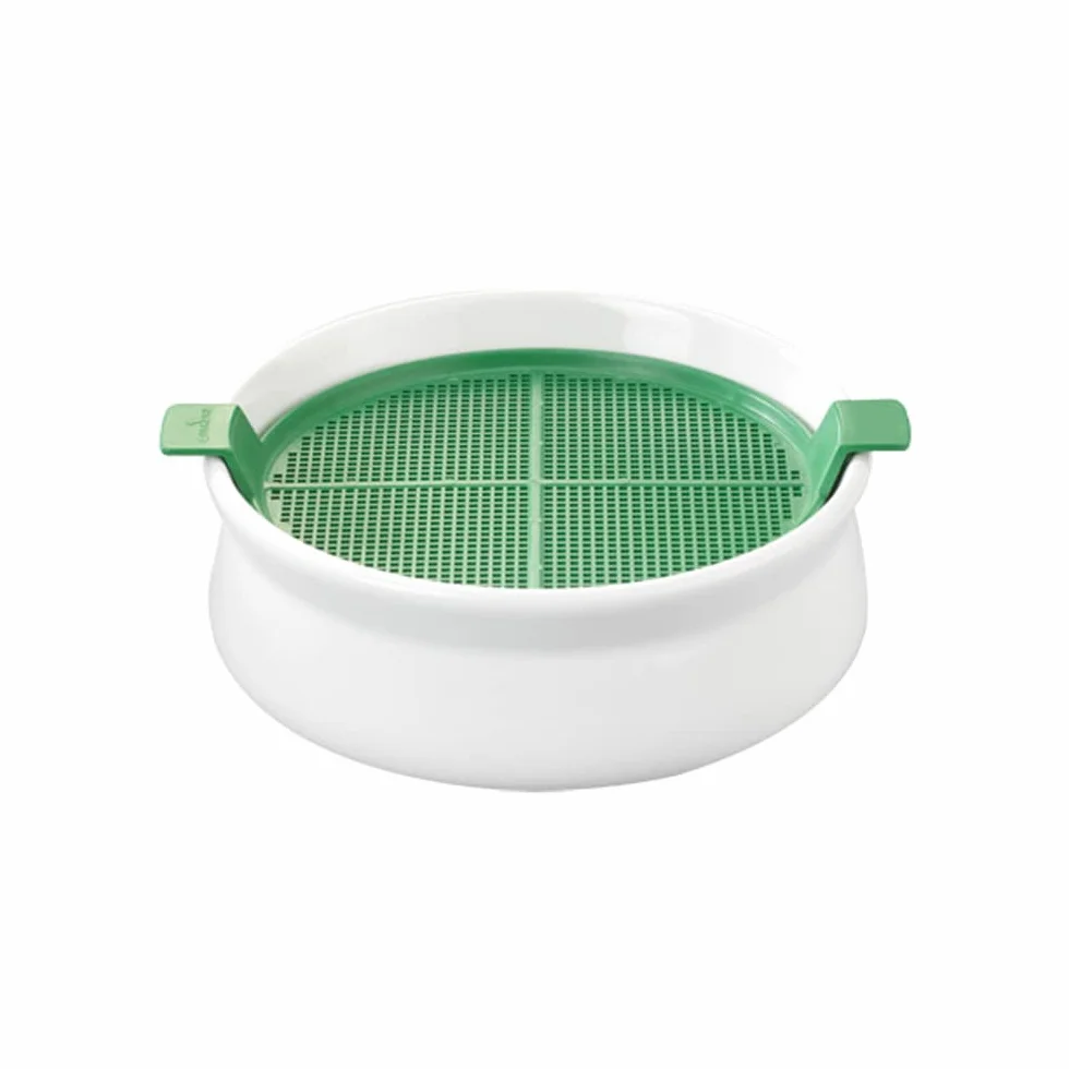 Germ'line Germoir Lot de 2 Coupelle de Germination Blanc 14.5 cm x 14.5 cm x 7 cm sans BPA