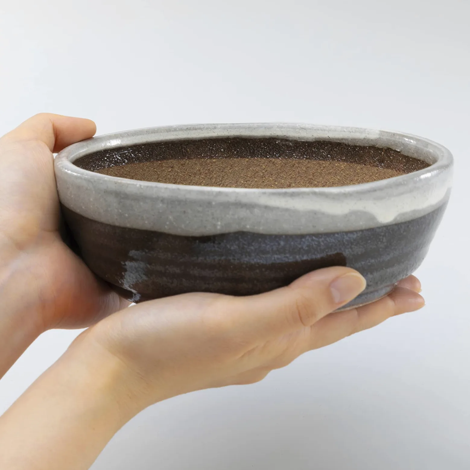 Wazakura Pot à Bonsaï en Céramique Émaillée avec Trou Drainage 17 cm, Fabriqué au Japon, Pot de Fleurs Japonais, Bol pour Plantes, Sable Beige avec Bande Blanche, Artisanat de Style Shigaraki