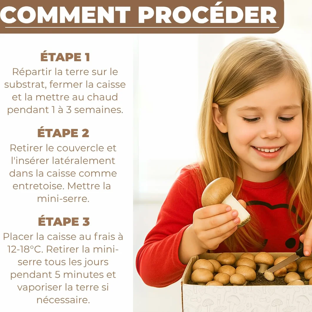 Hawlik Kit Champignons de Paris - Lot de 2 Cultures - Blancs et Bruns