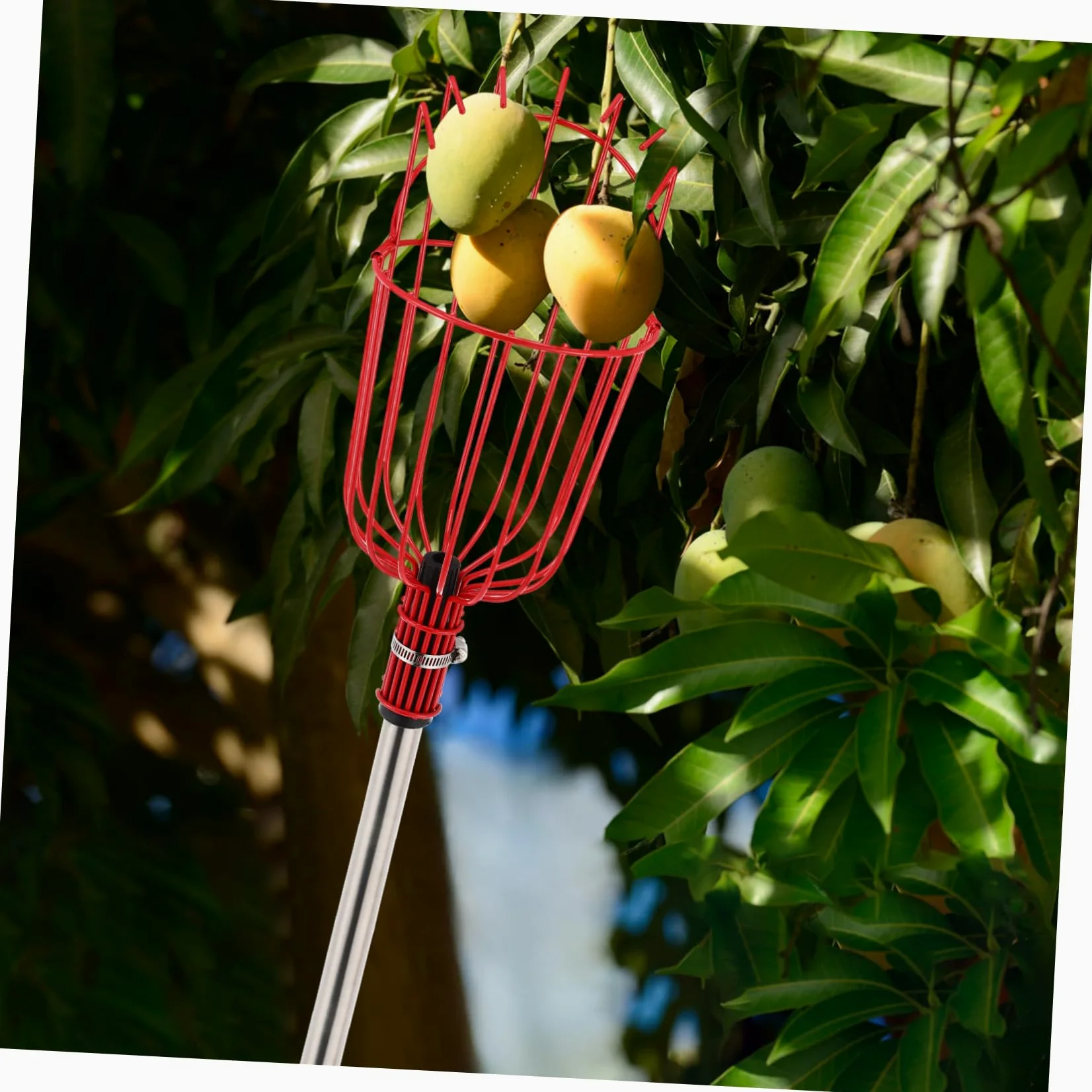 Artibetter Cueille-Fruits Extensible avec Panier pour Pommes Oranges Et Poires Outil pour Fruits avec Perche