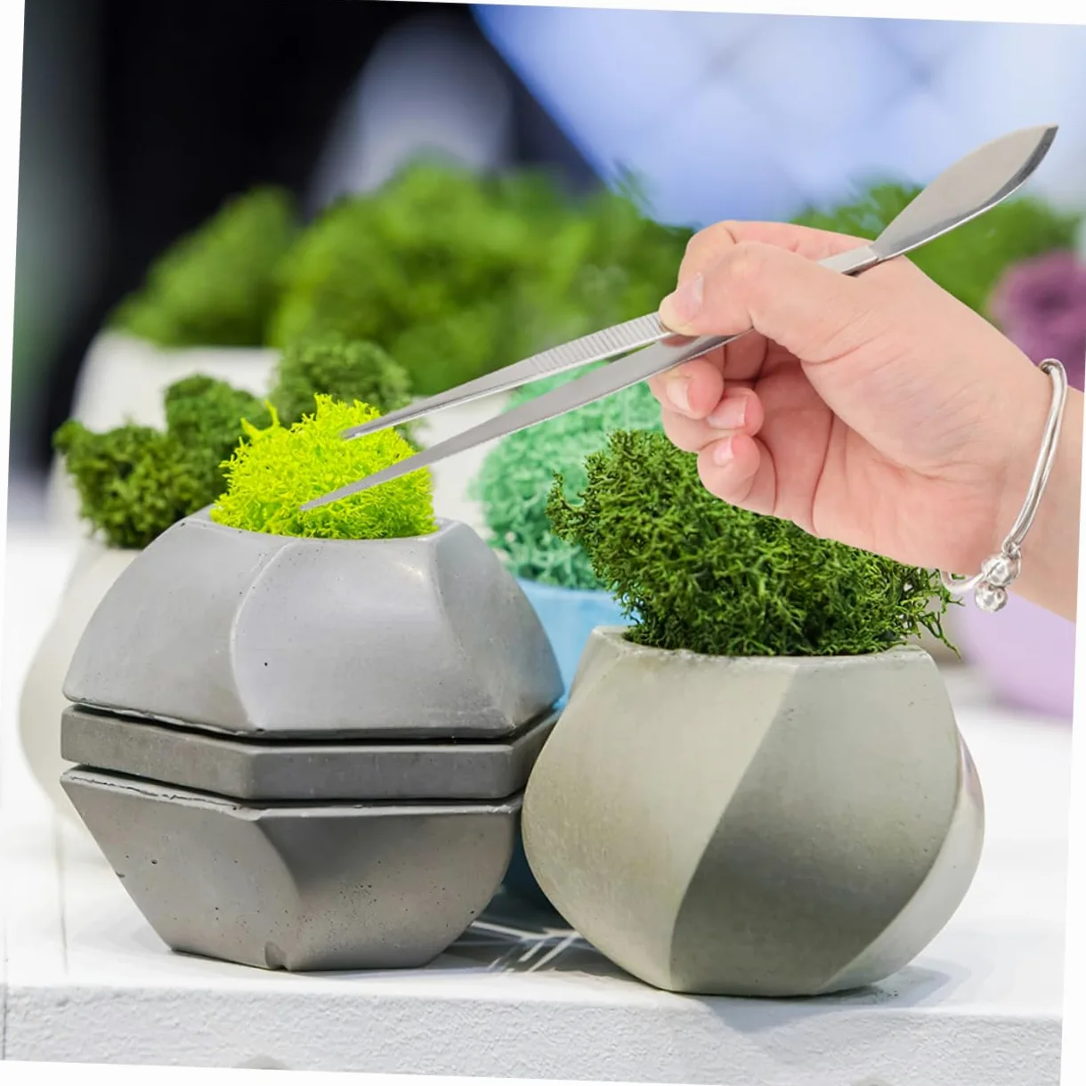 POPETPOP 6 Pièces Pince à Bonsaï Outil De Pincettes Râteau Succulent Pincettes Pour L'artisanat Pincettes Aquascaping Pince à Râteau De Jardinage Terrariums Acier Inoxydable Plante Outils