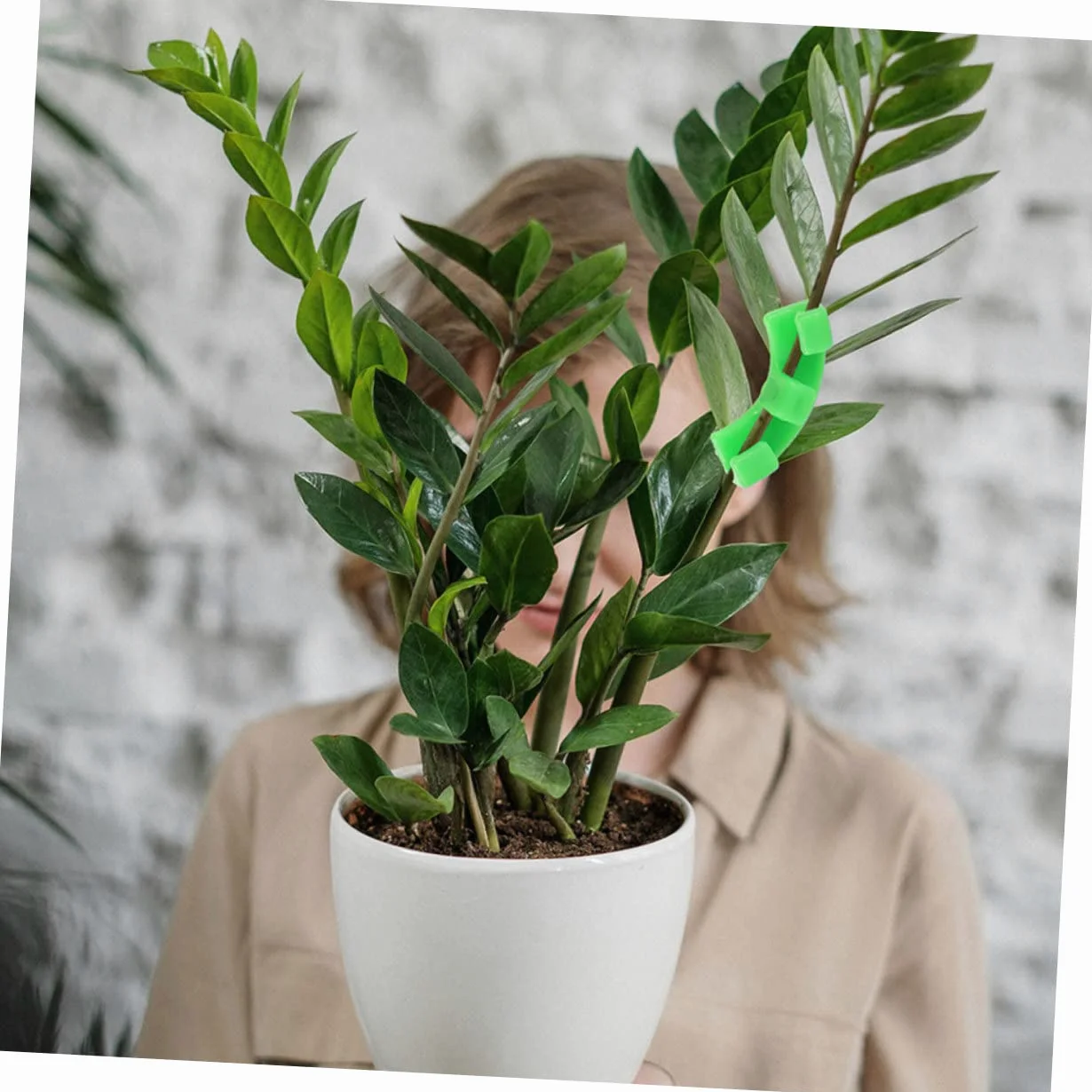 HANABASS 5 Ensembles Clips De Support pour Tiges De Plantes Outil De Jardinage pour Formation Et Redressement des Plantes Fixation Facile pour Vignes Et Arbres Accessoires De 60 Pièces * 5