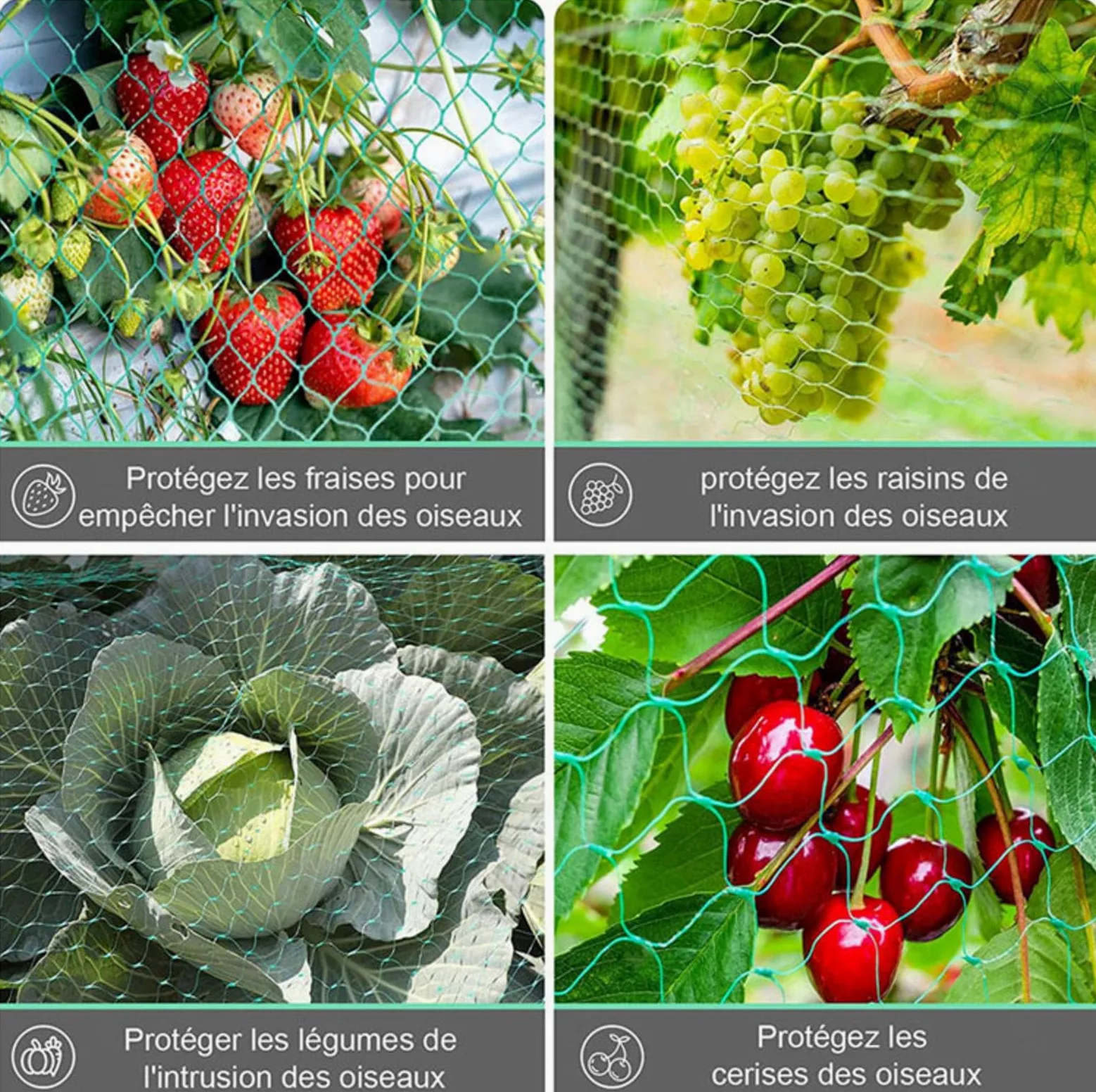 Filet Protection Oiseaux Potager Filet Jardin Anti Oiseaux pour Filet de Plantes, Protège Plantes, Fruits, Fleurs et Légumes,6x10m