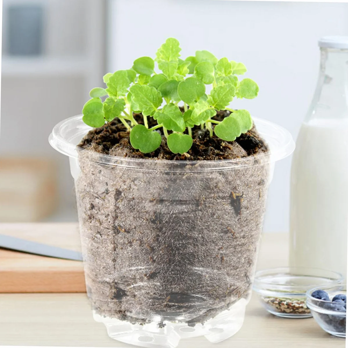TOYANDONA Lot de 10 Sets de Petits Pots de Fleurs avec Couvercle Trous de Drainage Ajustement Température Humidité Jardinage Intérieur Extérieur