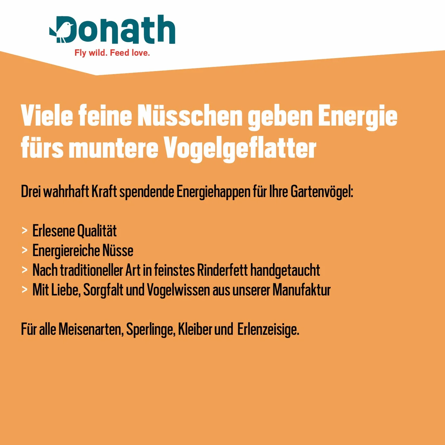 Donath Boîte à Énergie Oiseaux Sauvages Nourriture 360 g