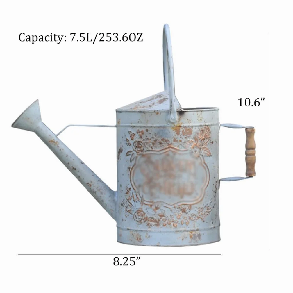 Arrosoirs Arrosoir en métal rétro de 7,5 L, arroseur de Style Ferme avec buse de pulvérisation for Un arrosage Rapide et Facile, 253,6 oz