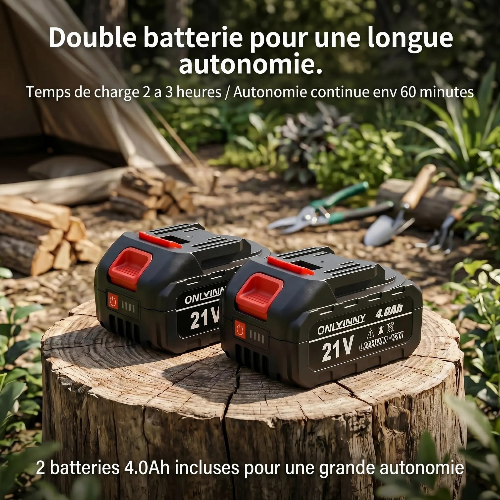 Tronçonneuse élagueuse 2-en-1 8 pouces moteur brushless 21V, perche télescopique, 2 batteries 4,0 Ah, verrouillage sécurité outil d'élagage arbres fruitiers jardin
