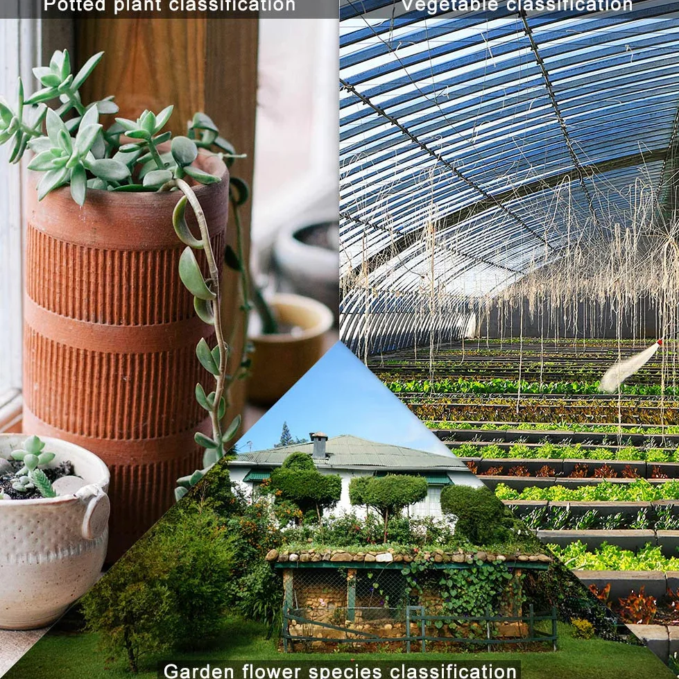 100 étiquettes de plantes type T SumDirect en plastique épais de 2,68x6,5, Étiquettes avec dentelle, marqueurs imperméables de grande dureté Étiquettes de jardin de pépinière ( blanc)