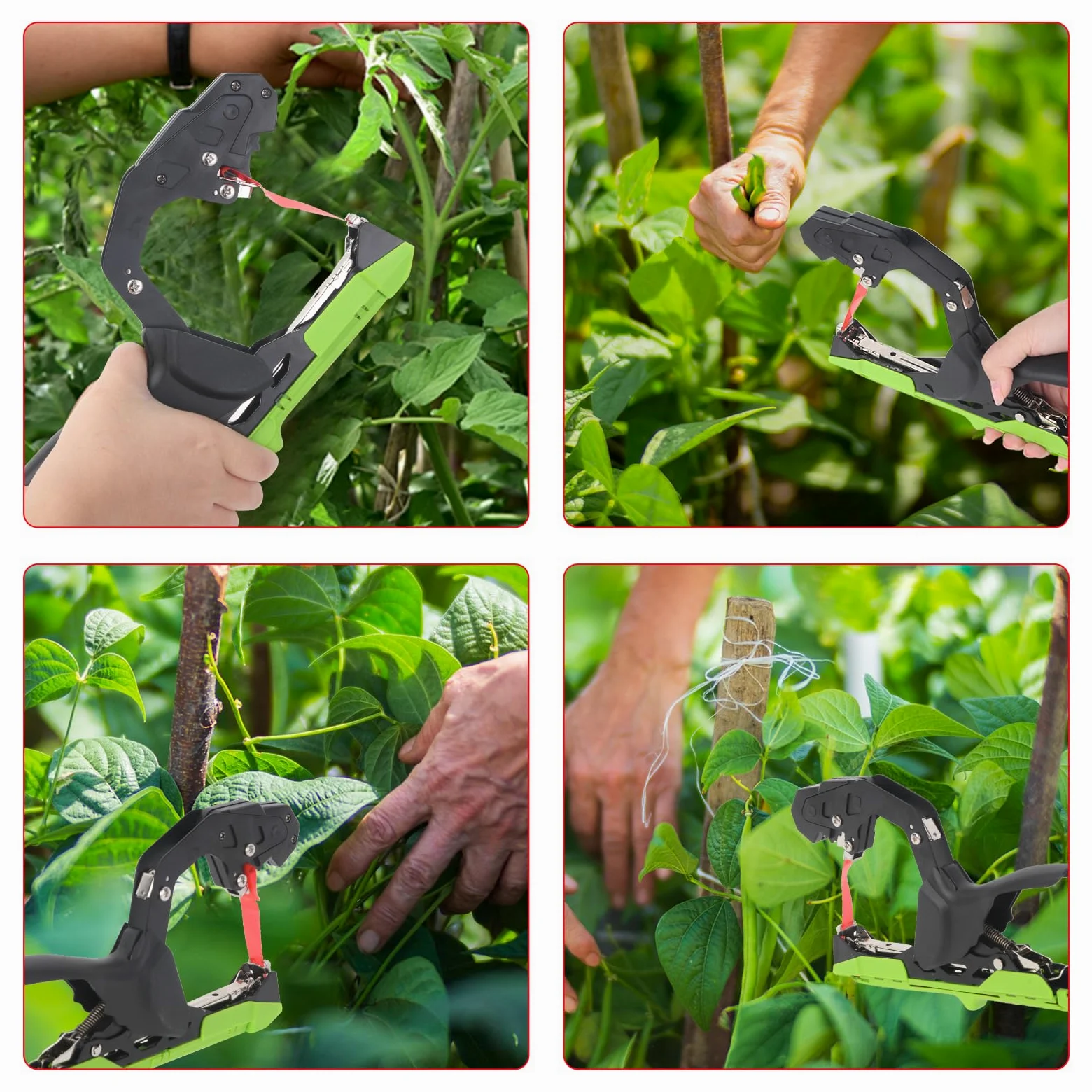 Machine à Attacher Les Plantes avec 10 000 agrafes 20 Rouleaux de Ruban adhésif pour Plantes Raisins, tomates et légumes (Vert)
