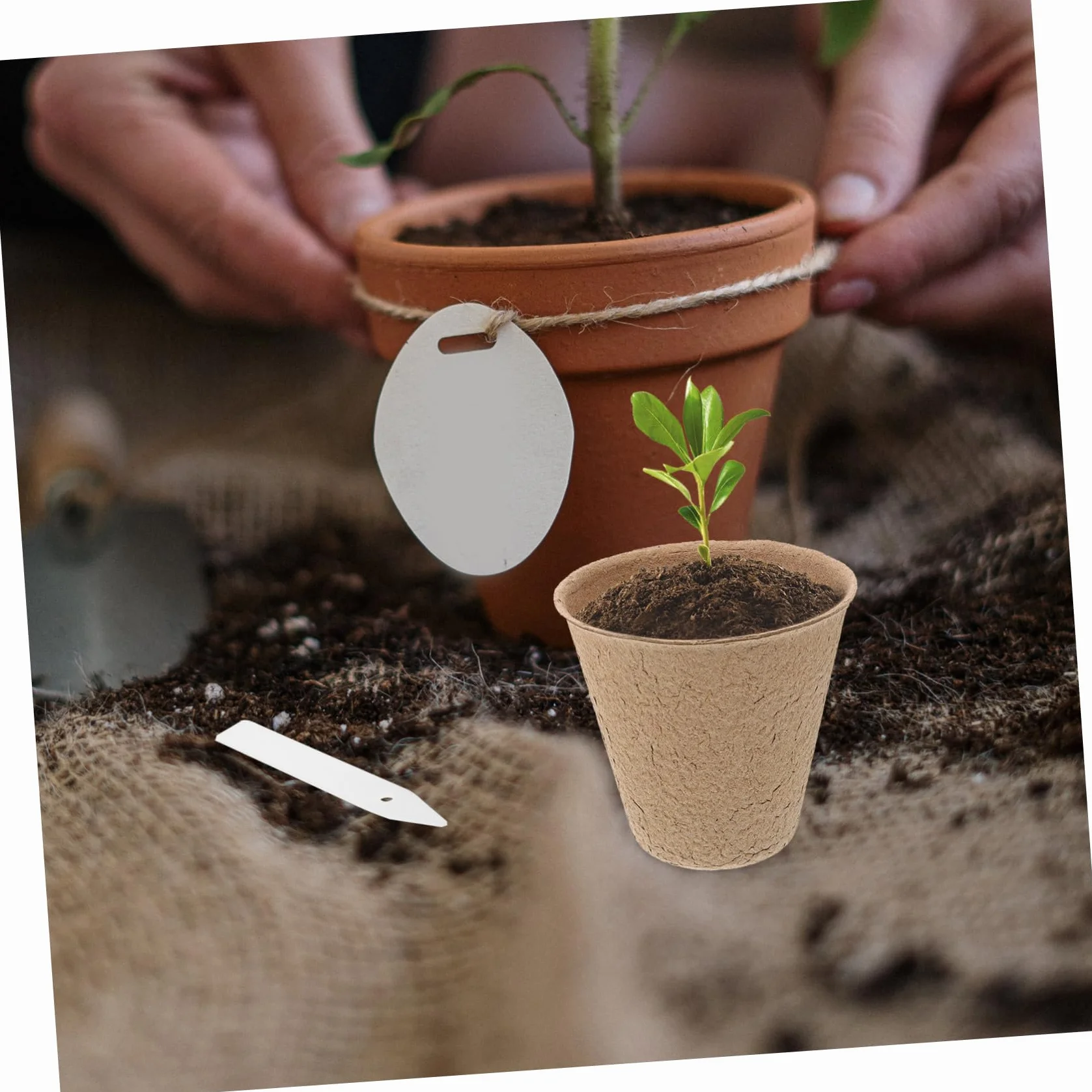 Sosoport Pot en pulpe pour semis 110 pcs repiquage Plantes Potager