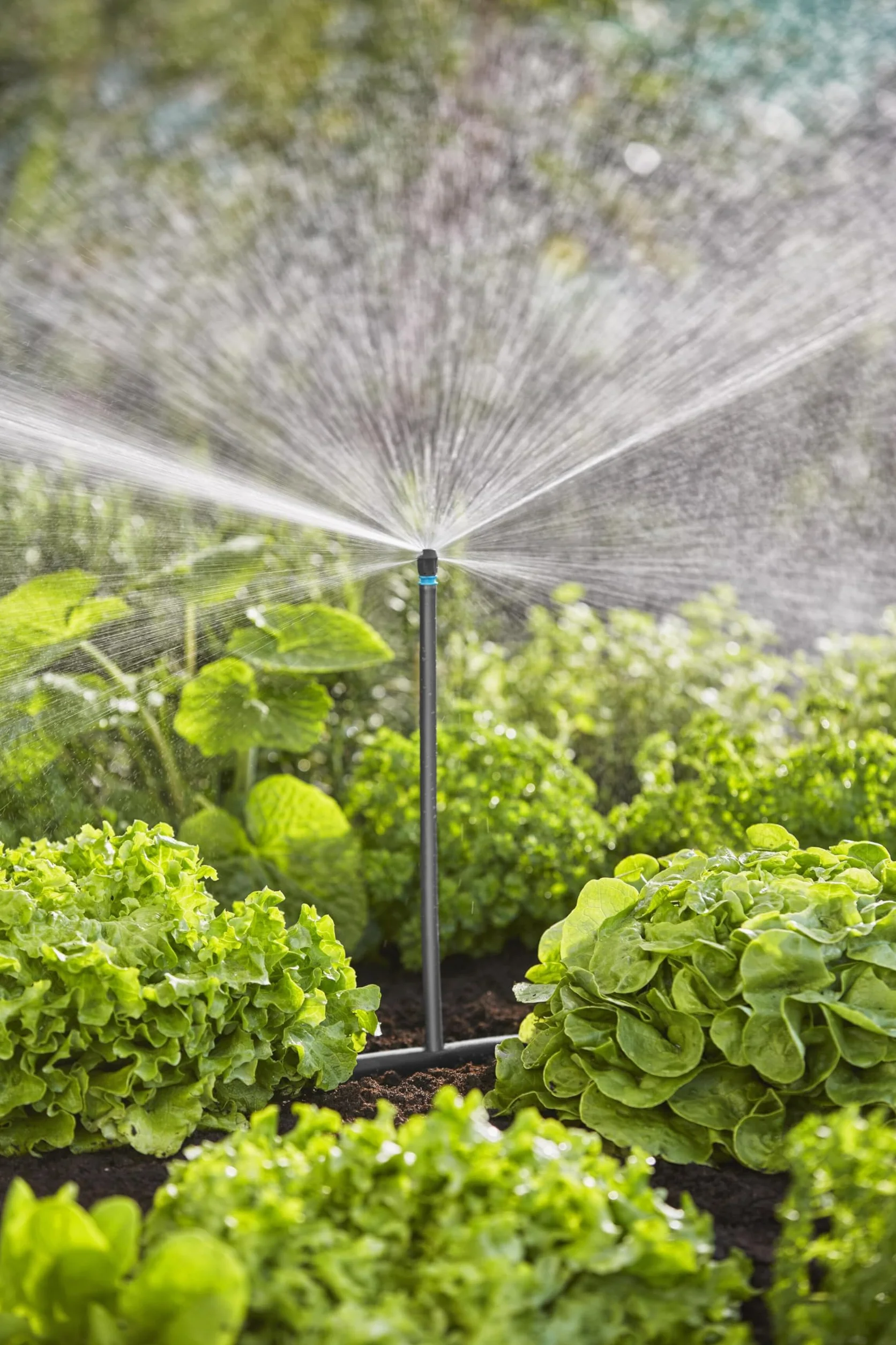 Gardena Micro-Drip System Kit d'irrigation goutte à goutte pour parterres de légumes/fleurs (40 m²): kit de démarrage prêt à l'emploi, système d'irrigation à économie d'eau (13450-20)