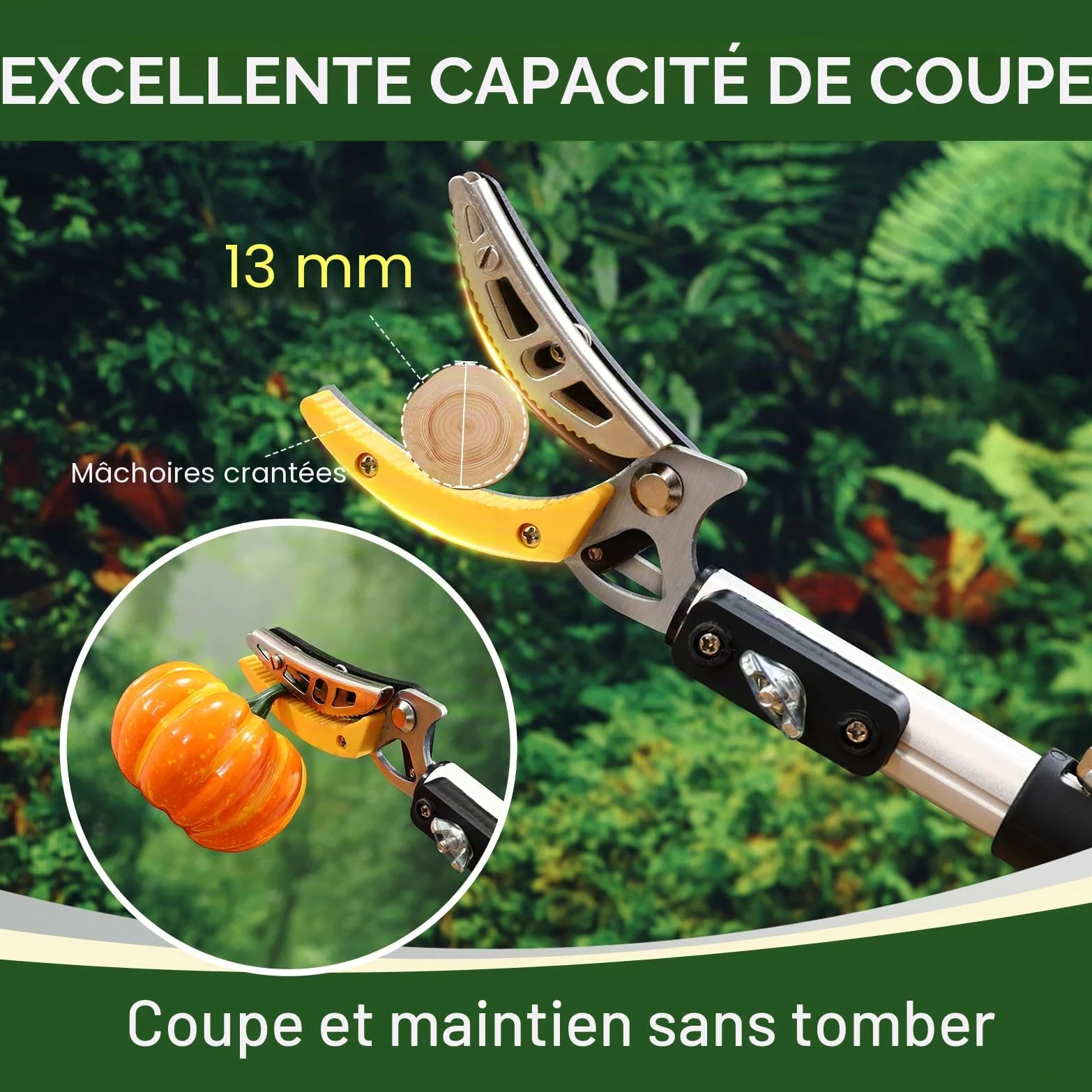 Gardena Sécateur télescopique 3 m, élagueur, sécateur de jardin extensible jusqu'à 3 m, sécateur Gardena avec lame de scie pour couper des arbres et des ciseaux de cueillette de fruits pour la récolte