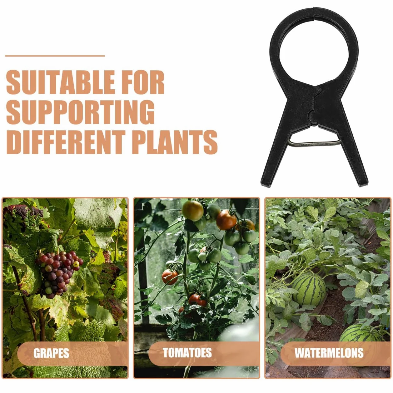 BESPORTBLE Lot de 100 clips de support de plantes en plastique durable pour tomates, concombres et fleurs, faciles à utiliser, clips de fixation de jardin pour plantes grimpantes et vignes