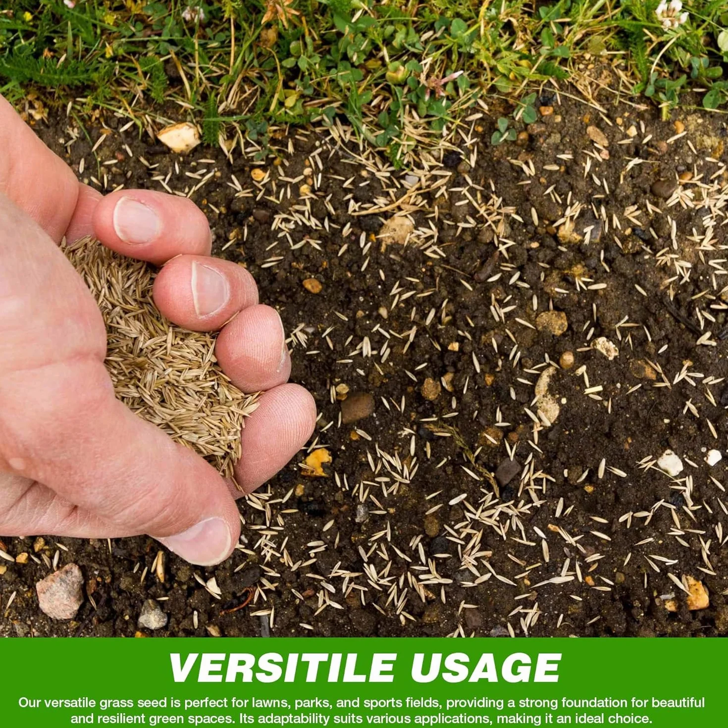 GroundMaster Semences de Gazon Pousse Ultra Rapide 5 kg 150 m² Résistant à la Sécheresse