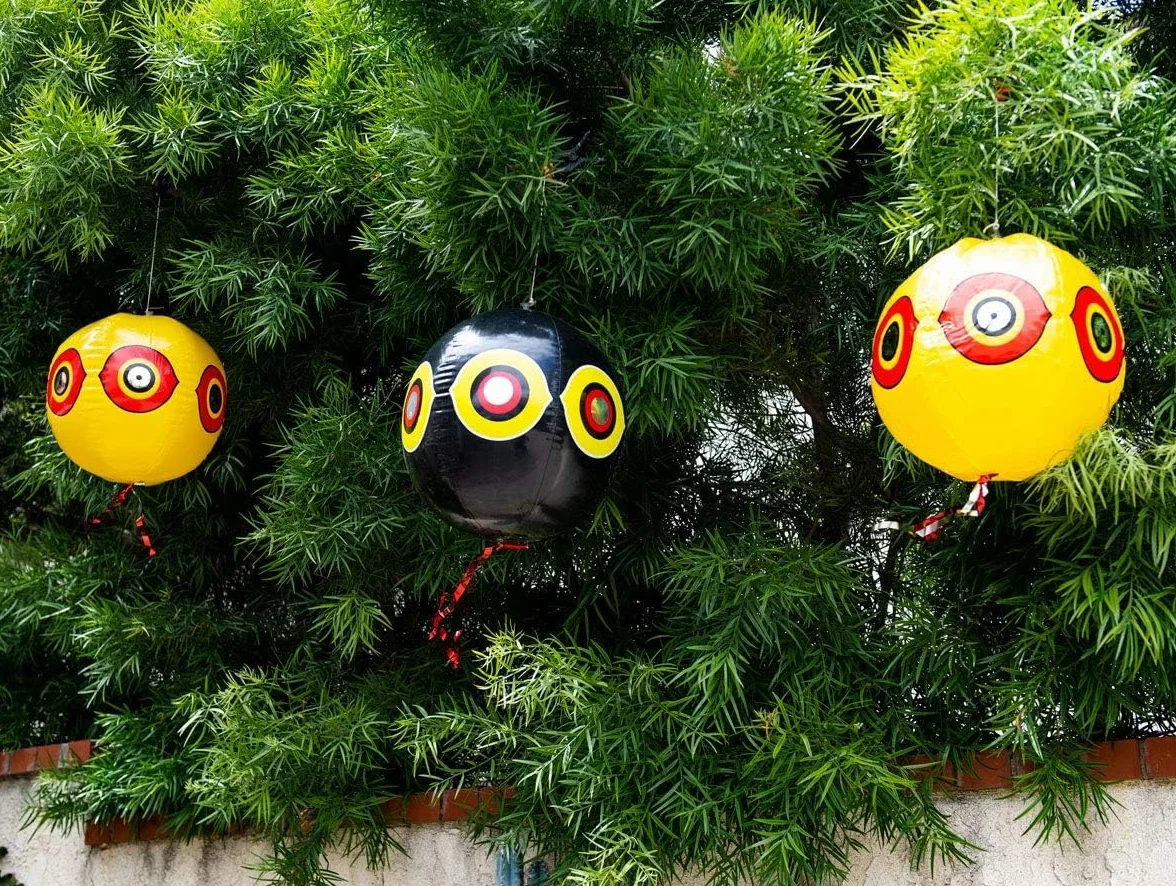 Ballon Anti-Oiseaux avec Yeux, Lot de 3, Répulsif pour Pigeons avec Corde, 3 Couleurs