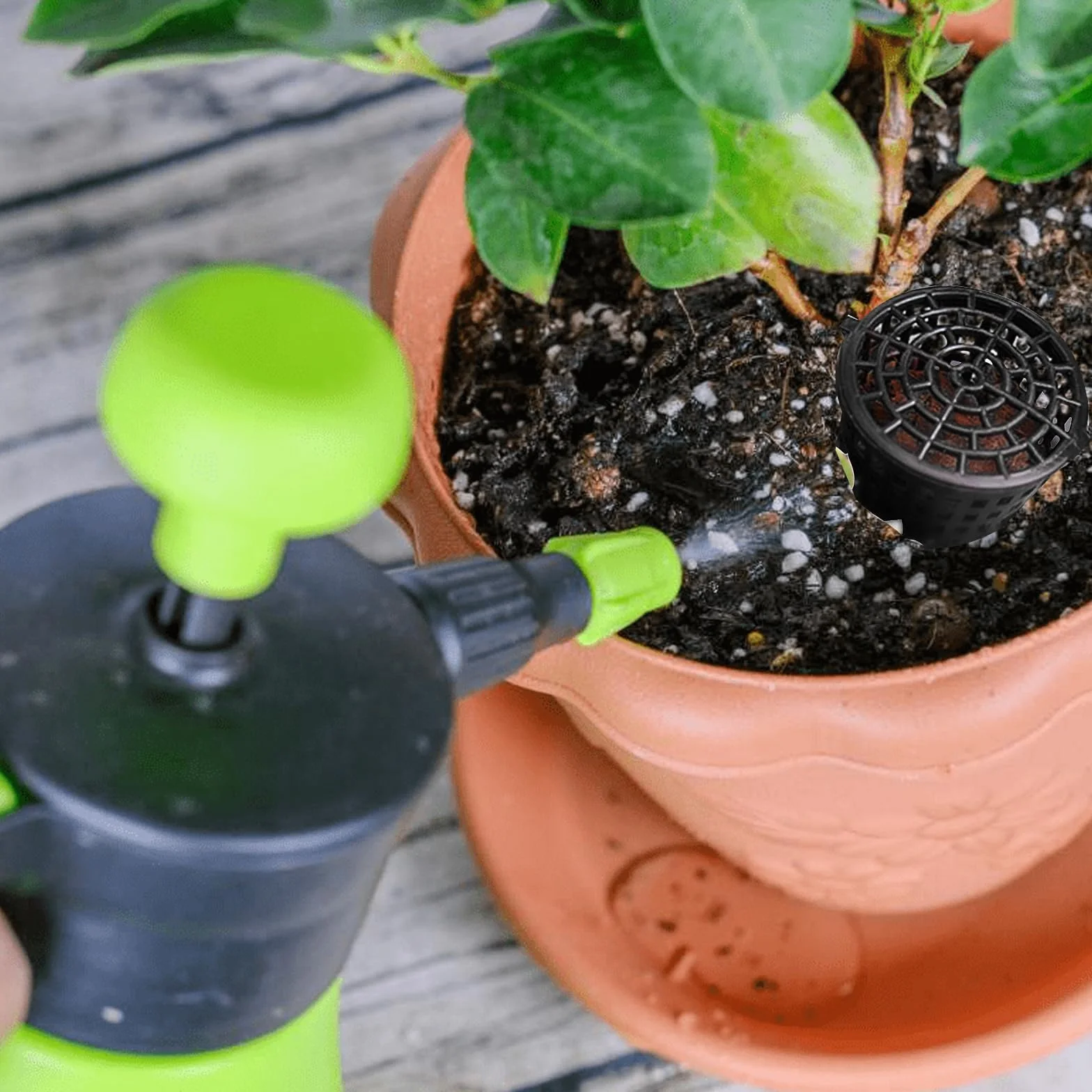 TECKI 30 Pièces Boîte Engrais Bonsai Plastique Noir avec Couvercle