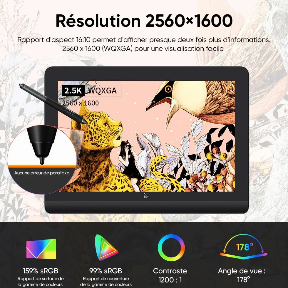 XP-PEN Artist Pro 16 (Gen 2) Tablette Graphique Dessin Écran Laminé Stylet 16K Pressions 2560x1600 159% sRGB