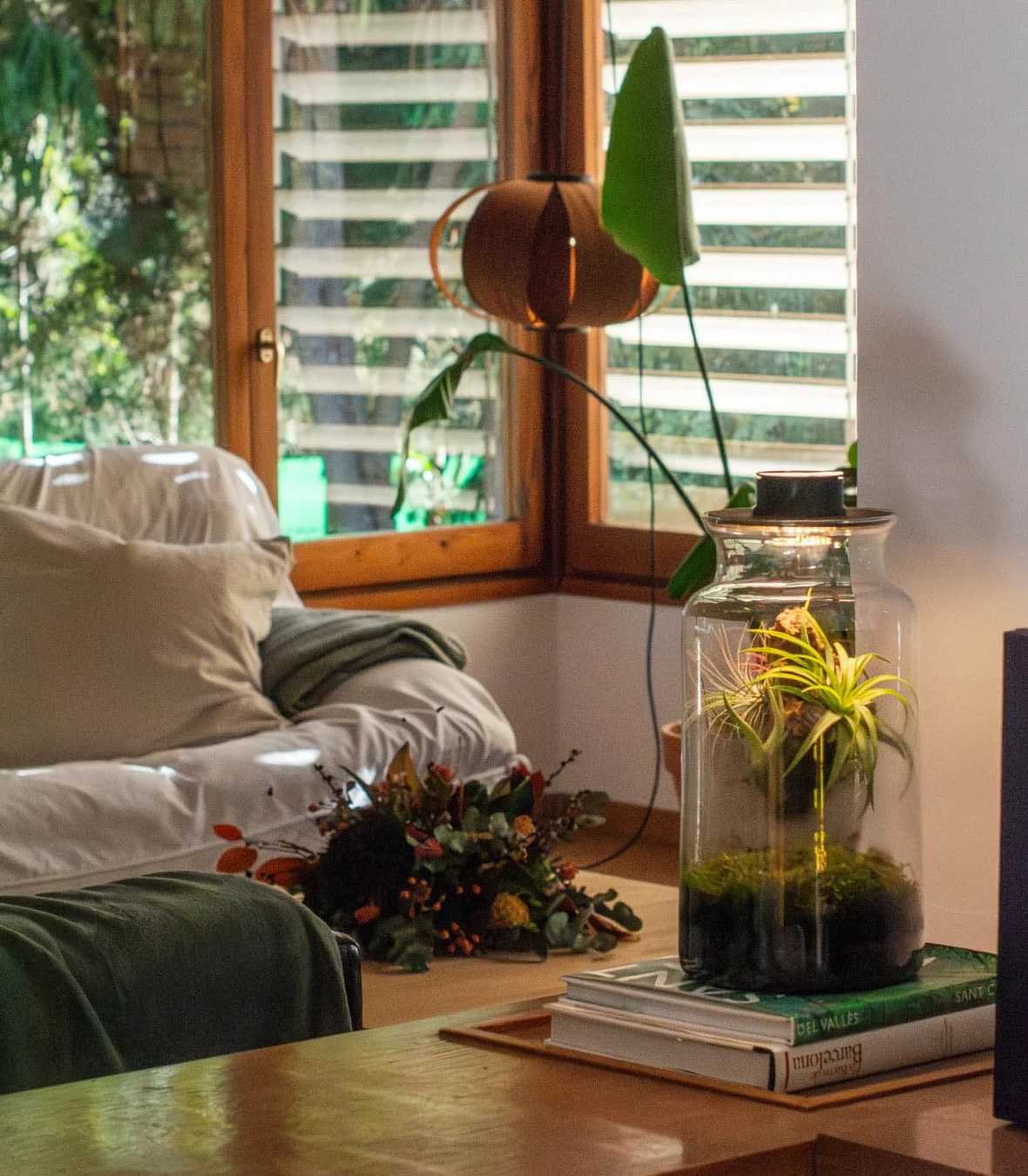Jardin en Bouteille Eter - Terrarium Plantes en Verre Transparent Couvercle avec Spot LED | Kit Jardin en Bouteille All Inclusive Plantes D'air Naturelles à Rice d'Olivier