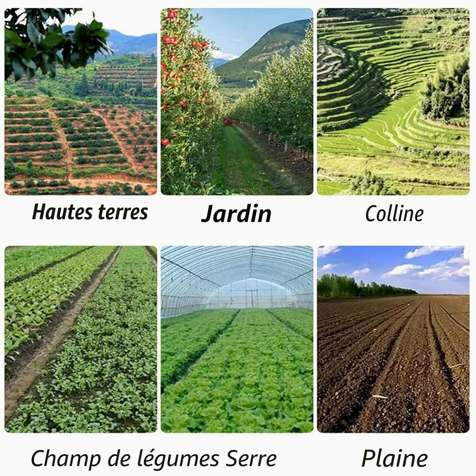 Semoir semoir de précision semoir en rangée, semoir manuel, épandeurs de jardin, semoir de jardin à poussée manuelle, plantes de chanvre, persil, chou, radis, etc. for petits jardins(Single row)
