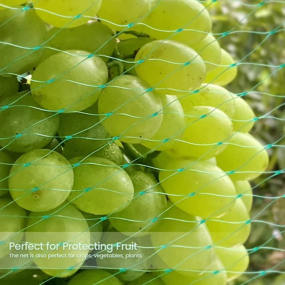 Filet anti-oiseaux 5 m x 10 m Lot de 2 avec attaches nylon pour protection plantes fruits légumes
