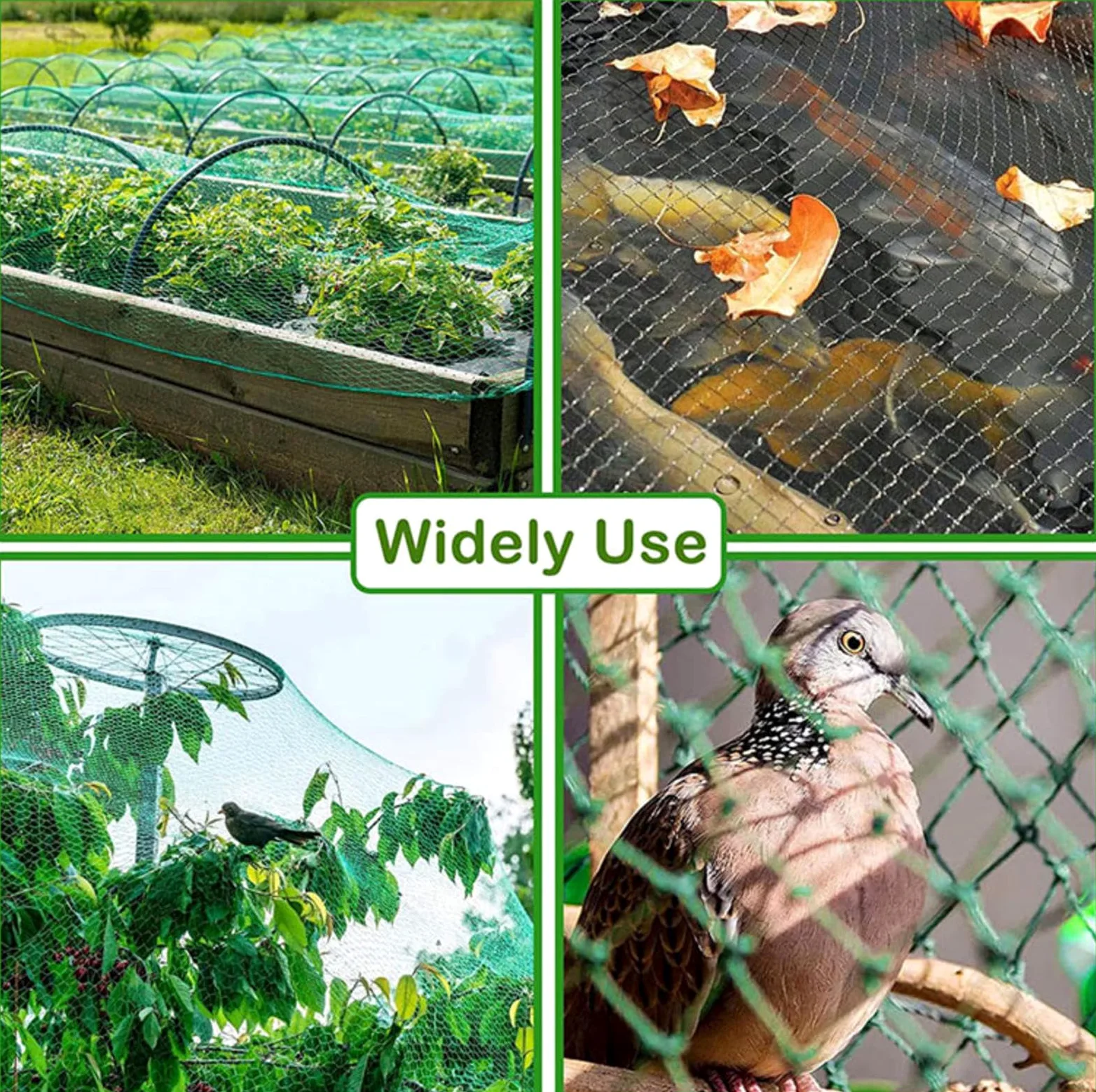 Filet Protection Oiseaux Potager Filets pour Jardin Potager Idéal pour Prévenir Les Oiseaux et Les Gros Insectes,3x10m