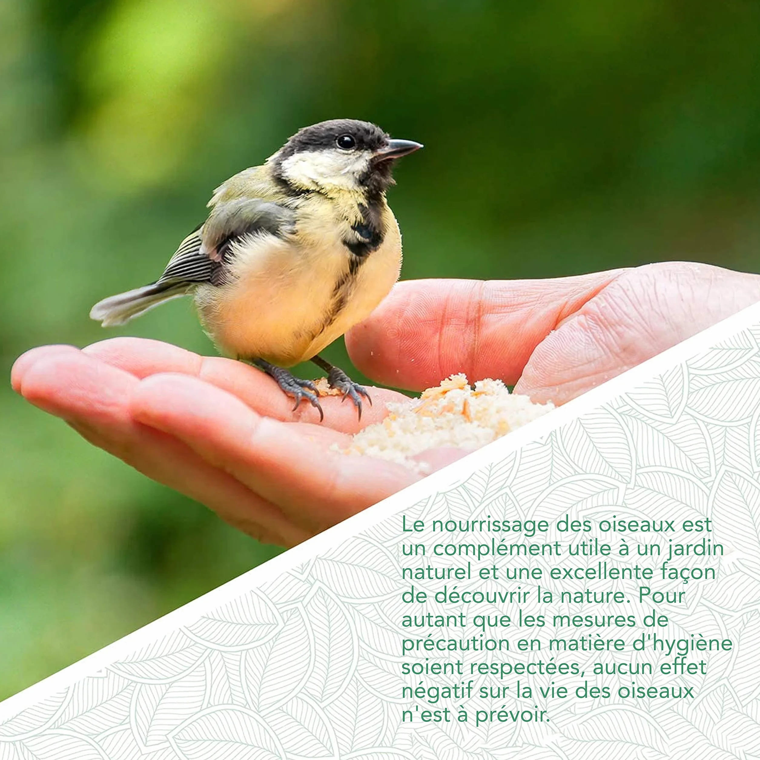 Mangeoire Oiseaux Exterieur à Grain 40cm Vert 6 Points d'Approche Nichoir Oiseaux Sauvages Silo Alimentation