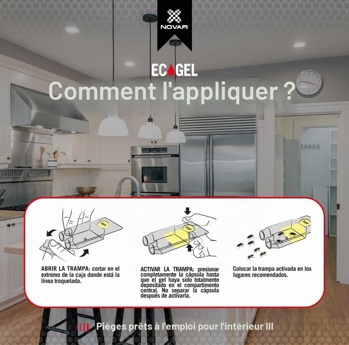 Piège Cafard Mortel avec Bitrex pour Tous Types de Cafards