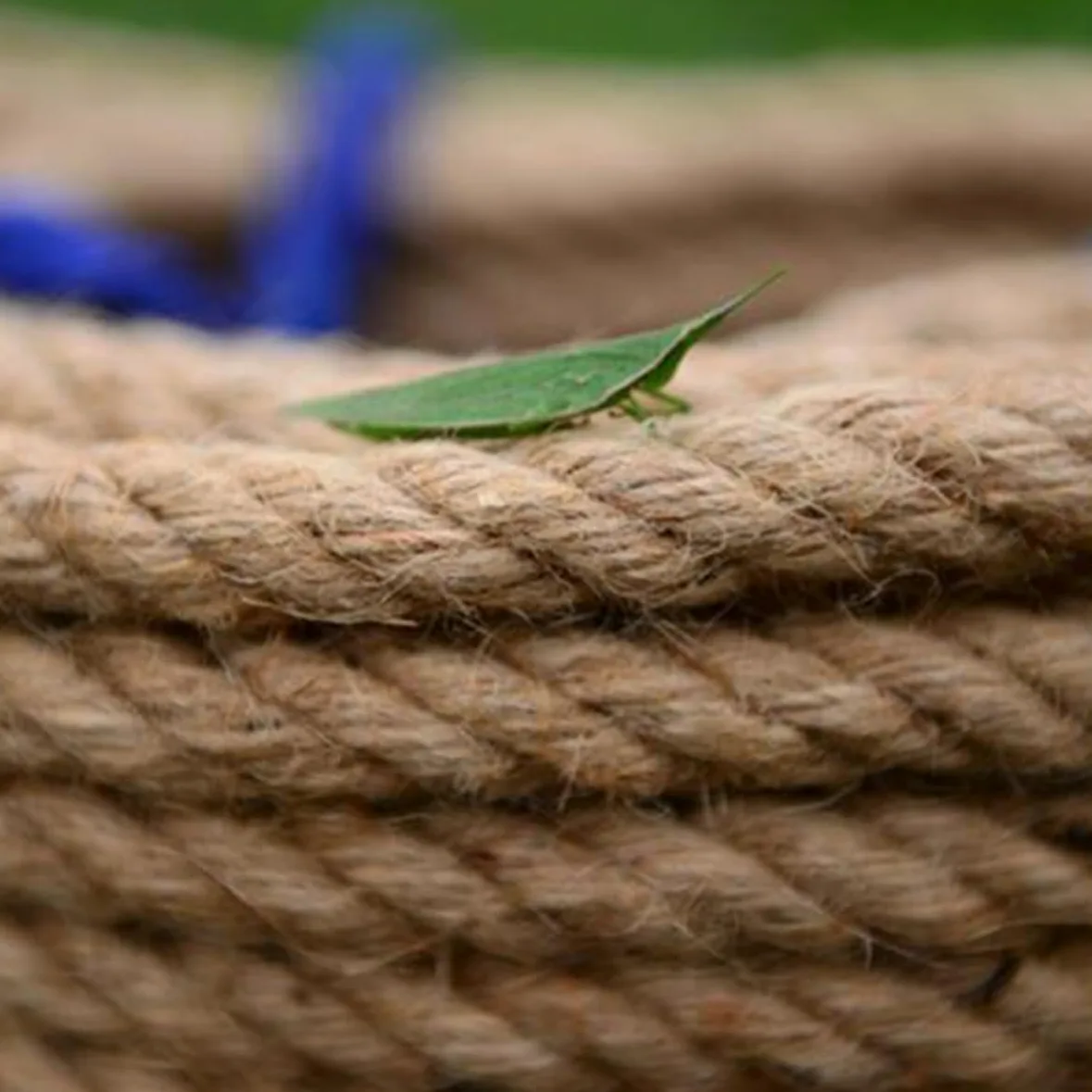 Mikikit Corde De Jute Épaisse Naturelle De 30 M Diamètre 8 Mm Solide pour Lartisanat Lemballage De Noël La Fleuristerie Et Le Regroupement