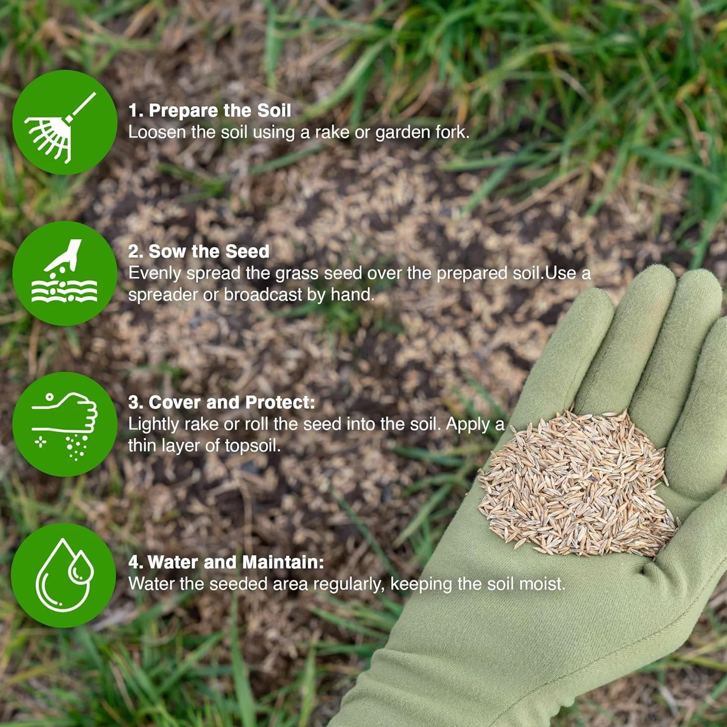 GroundMaster Semences de Gazon Pousse Ultra Rapide 5 kg 150 m² Résistant à la Sécheresse