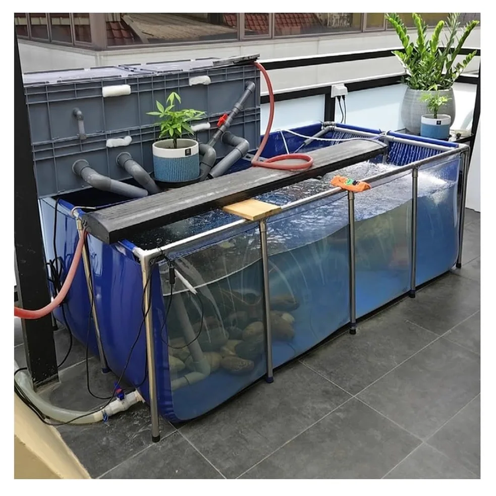 Rygcrud Bassin pour Aquarium - Toile PVC avec Cadre en Acier, Bassin À Koïs Hors Sol Préformé avec Fenêtre Transparente, Grande Capacité Bassin D'élevage(140x140x35cm)