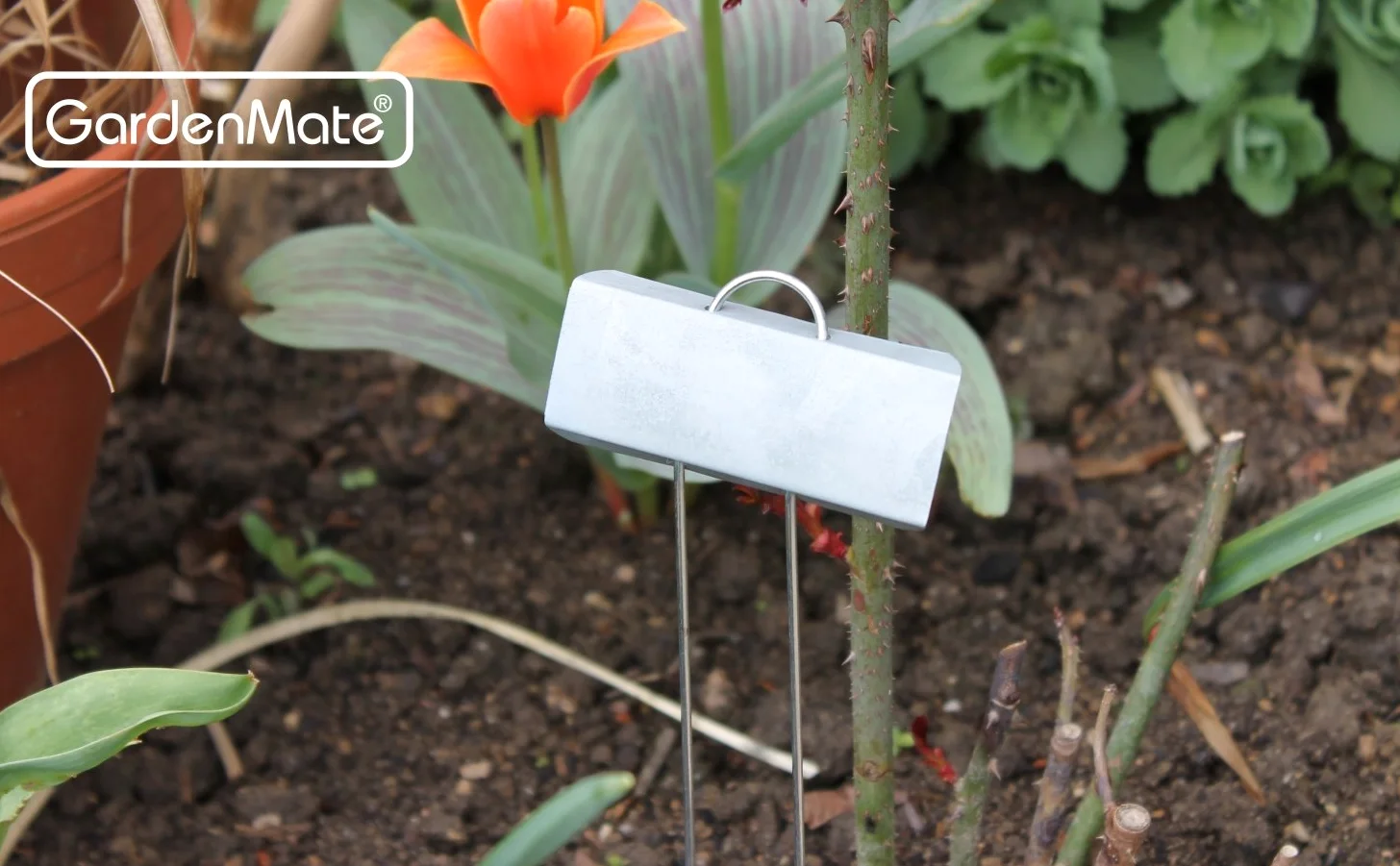 GardenMate Lot de 100 grandes étiquettes en métal pour plantes de 29,9 cm