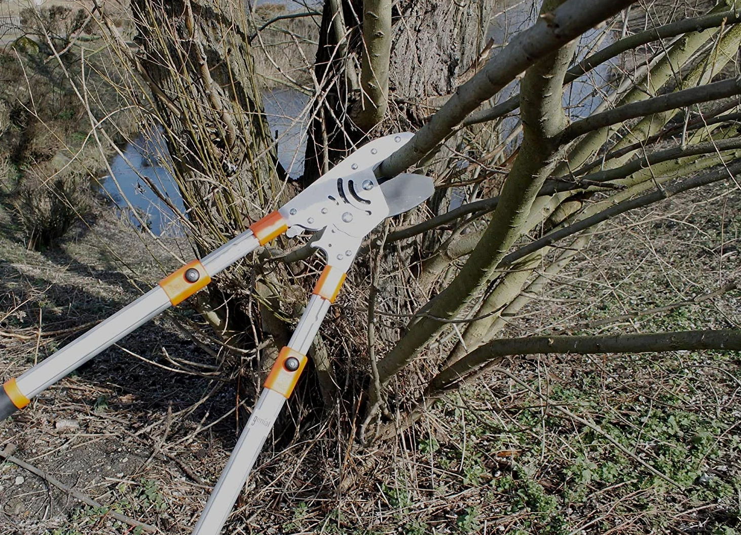 Coupe-Branches à Crémaillère Ultra Puissant | Manches Télescopiques 60-108 cm | Lame SK5 Revêtement Téflon | Coupe Facile & Précise Jusqu'à 5 cm | Élagage & Jardinage Professionnel