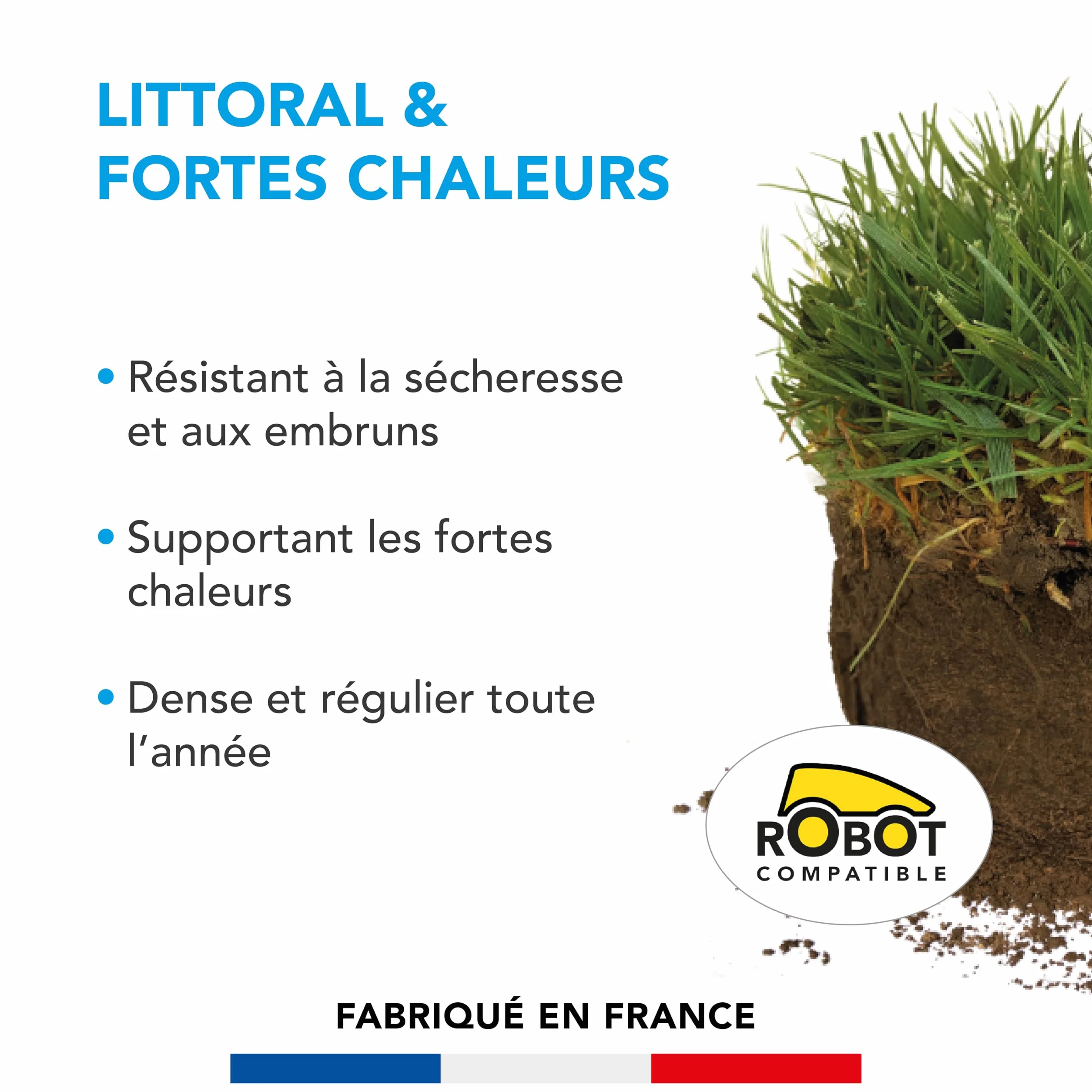 Barenbrug Gazon Littoral & Fortes Chaleurs 3kg Résistant Sécheresse Embruns