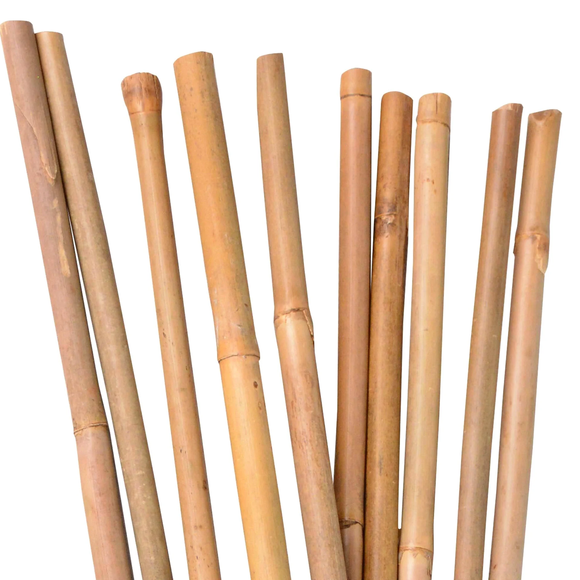 UNUS Bâtons de bambou, lot de 50 tuteurs en bambou de 150 cm de long, support de croissance pour plantes d'intérieur ou dans le jardin pour concombres, tomates