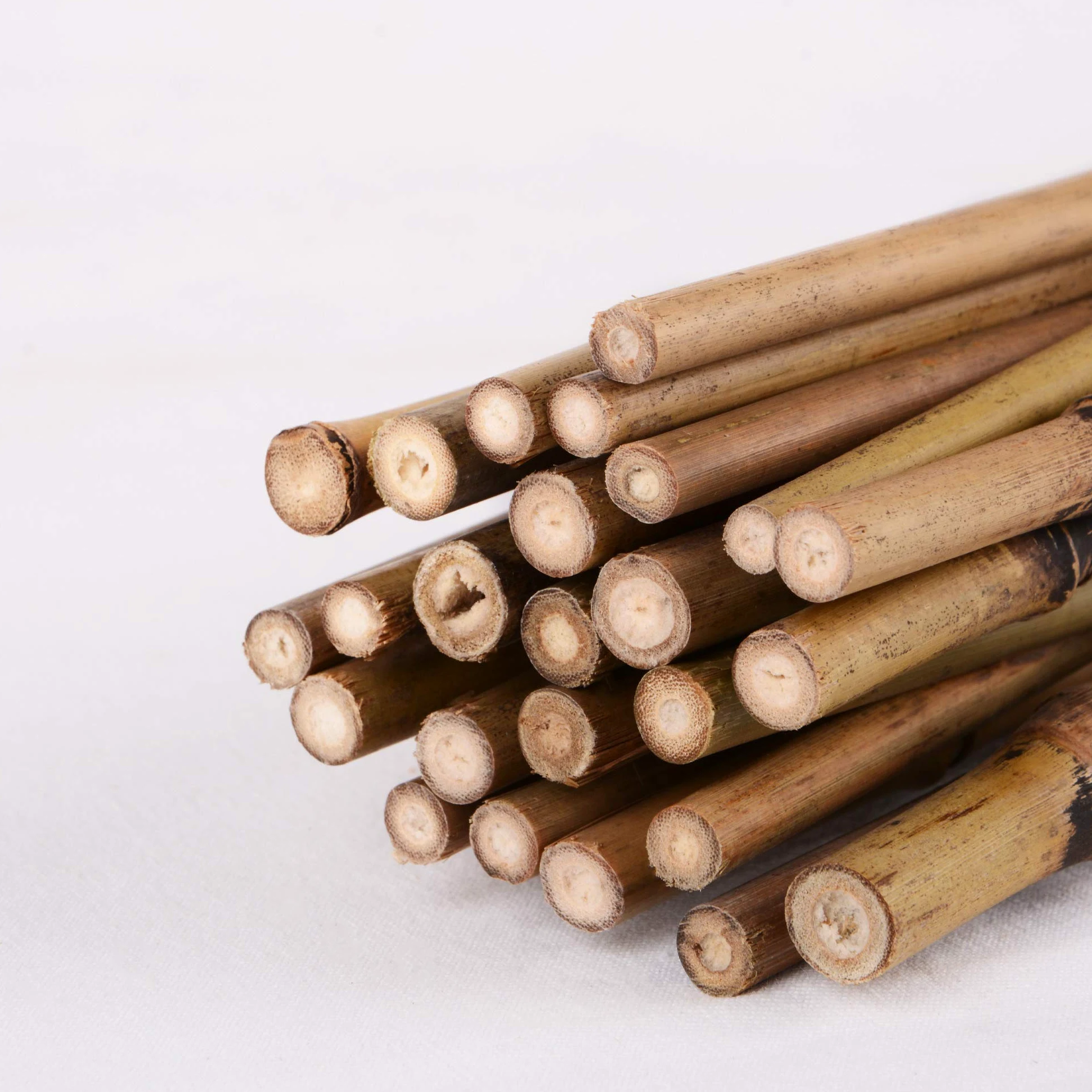 UNUS Bâtons de bambou, lot de 50 tuteurs en bambou de 150 cm de long, support de croissance pour plantes d'intérieur ou dans le jardin pour concombres, tomates