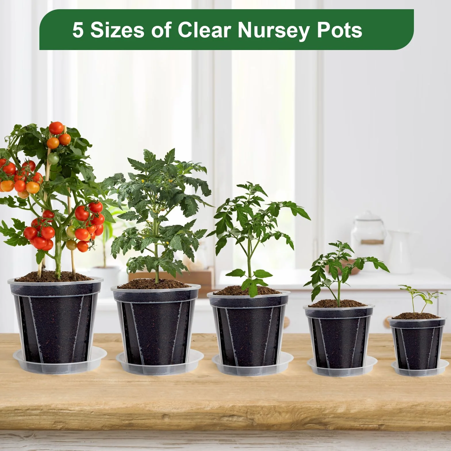 Pots Transparents avec Trou de Drainage, 10-16 cm, Renforcés avec Soucoupe, Pack Variété Plastique pour Semis