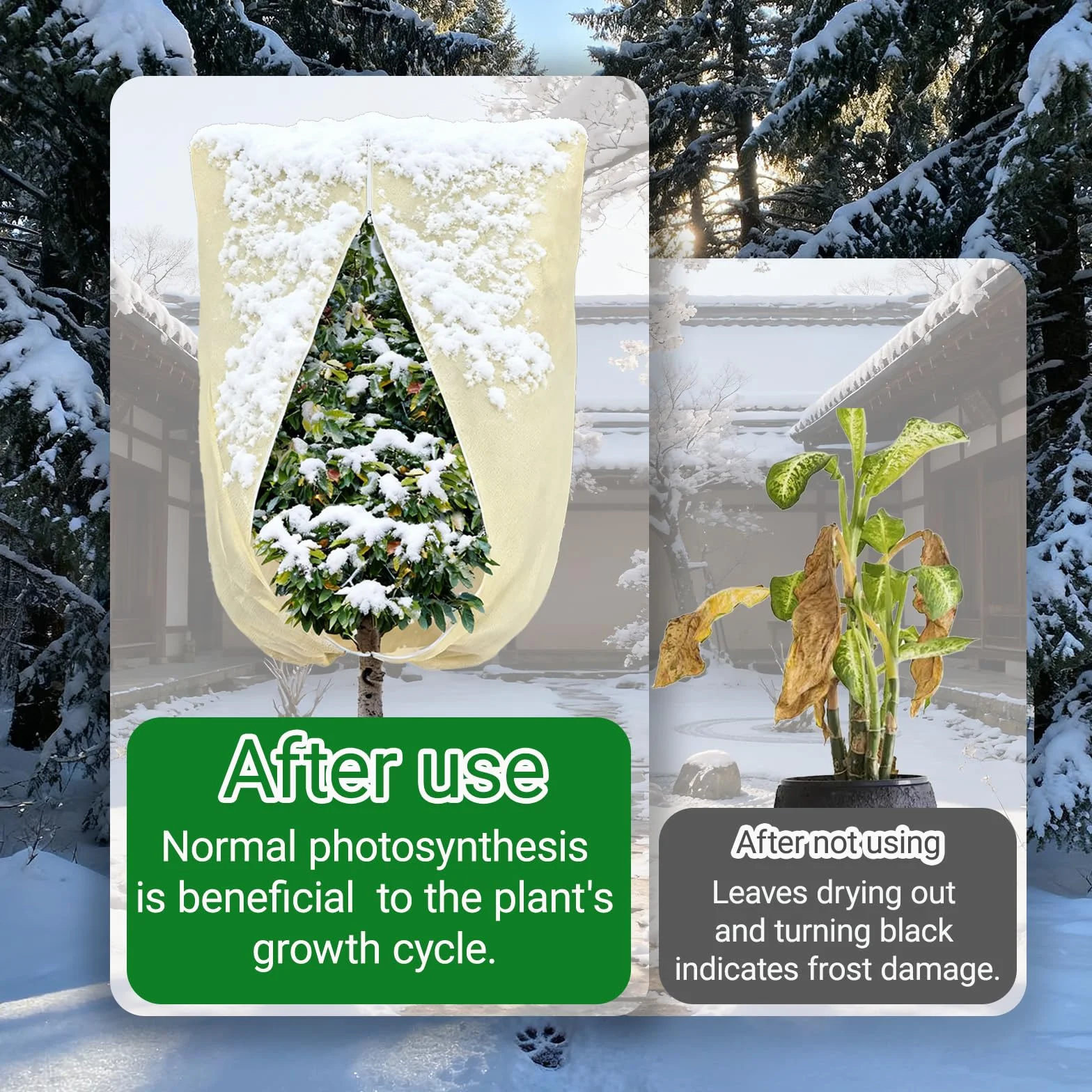 Housse Hivernage Plante Exterieur 100x80cm Voile Hivernage avec Fermeture éclair Respirante Indéchirable Réutilisable
