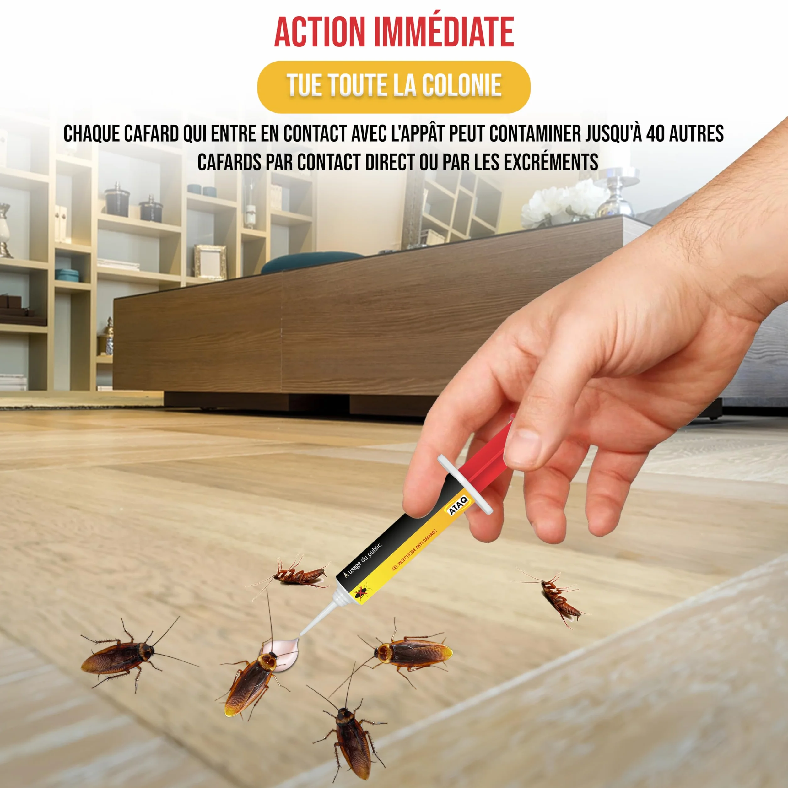 Pack de 2 Gel Appât Anti Cafards 10g Professionnelle Insecticide Élimine Rapidement