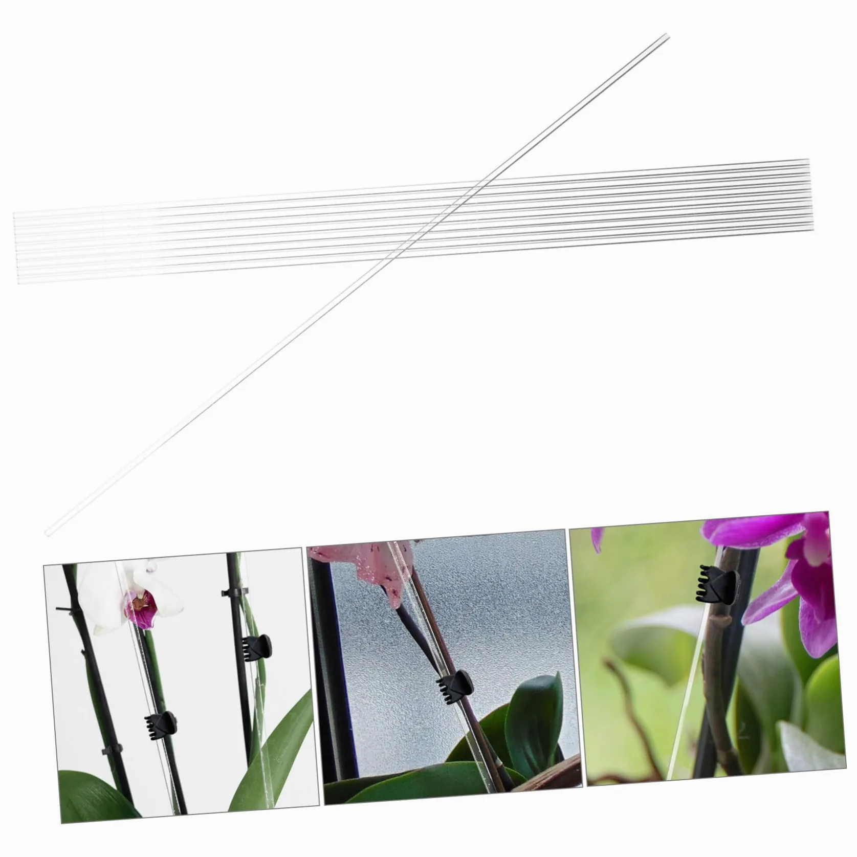5 Ensembles Support De Plante Transparent Lot de Piquets pour Plantes Grimpantes Support Durable 10 Pièces * 5