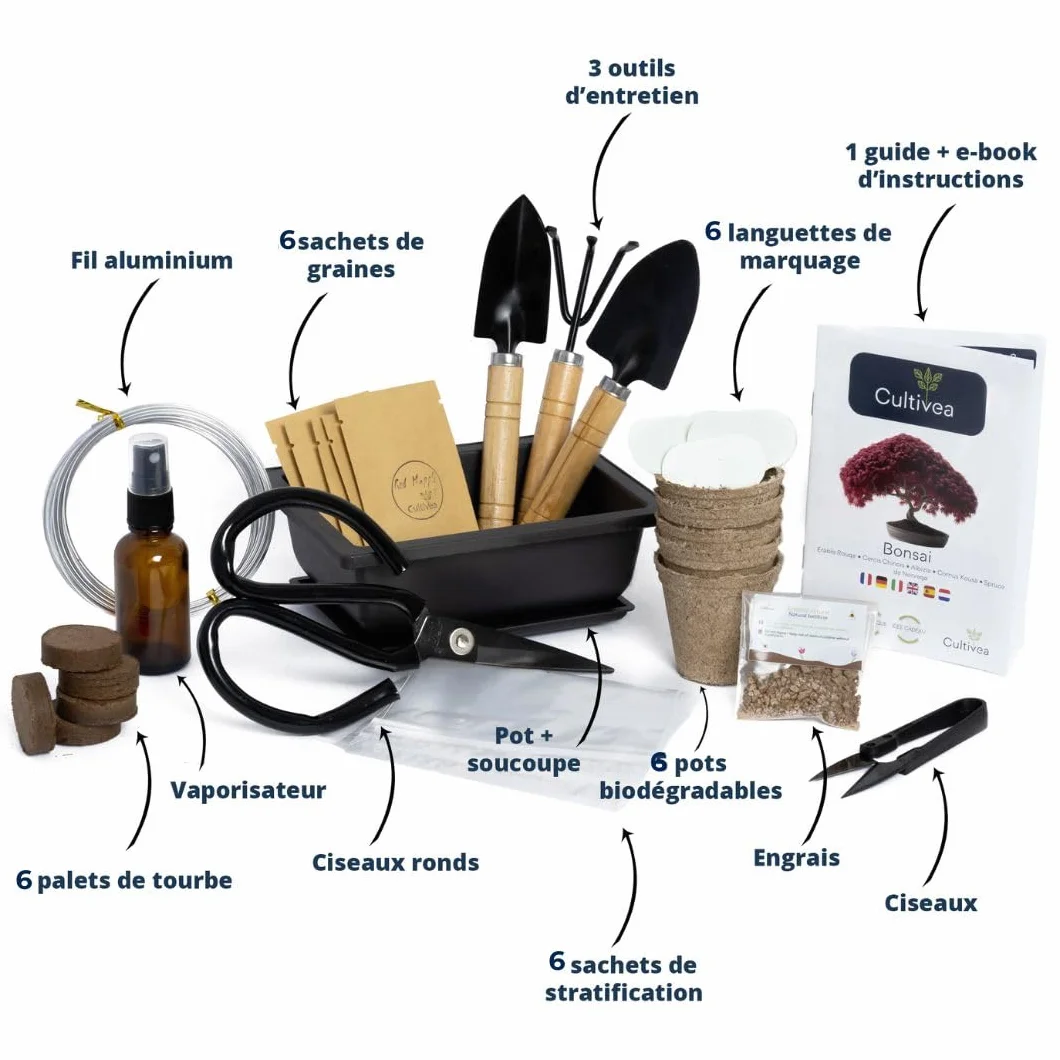 CULTIVEA® Kit Bonsaï Premium Prêt à Pousser - Outils, Ciseaux, Fil pour Entretien de Bonsaïs