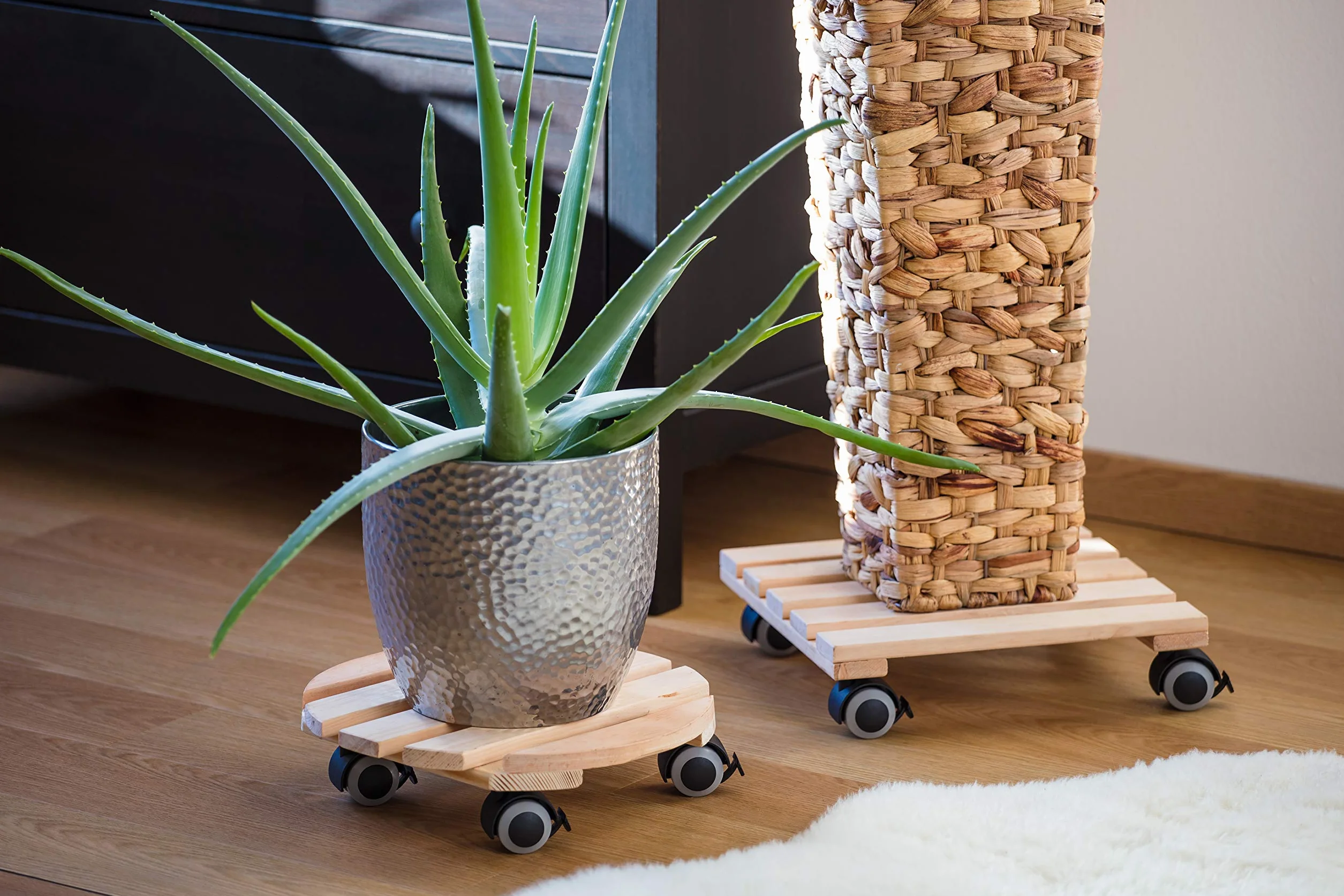 Metafranc Chariot pour Plantes Ø 300 mm 60 kg Plaque en pin Naturel Roues TPE 4 blocages